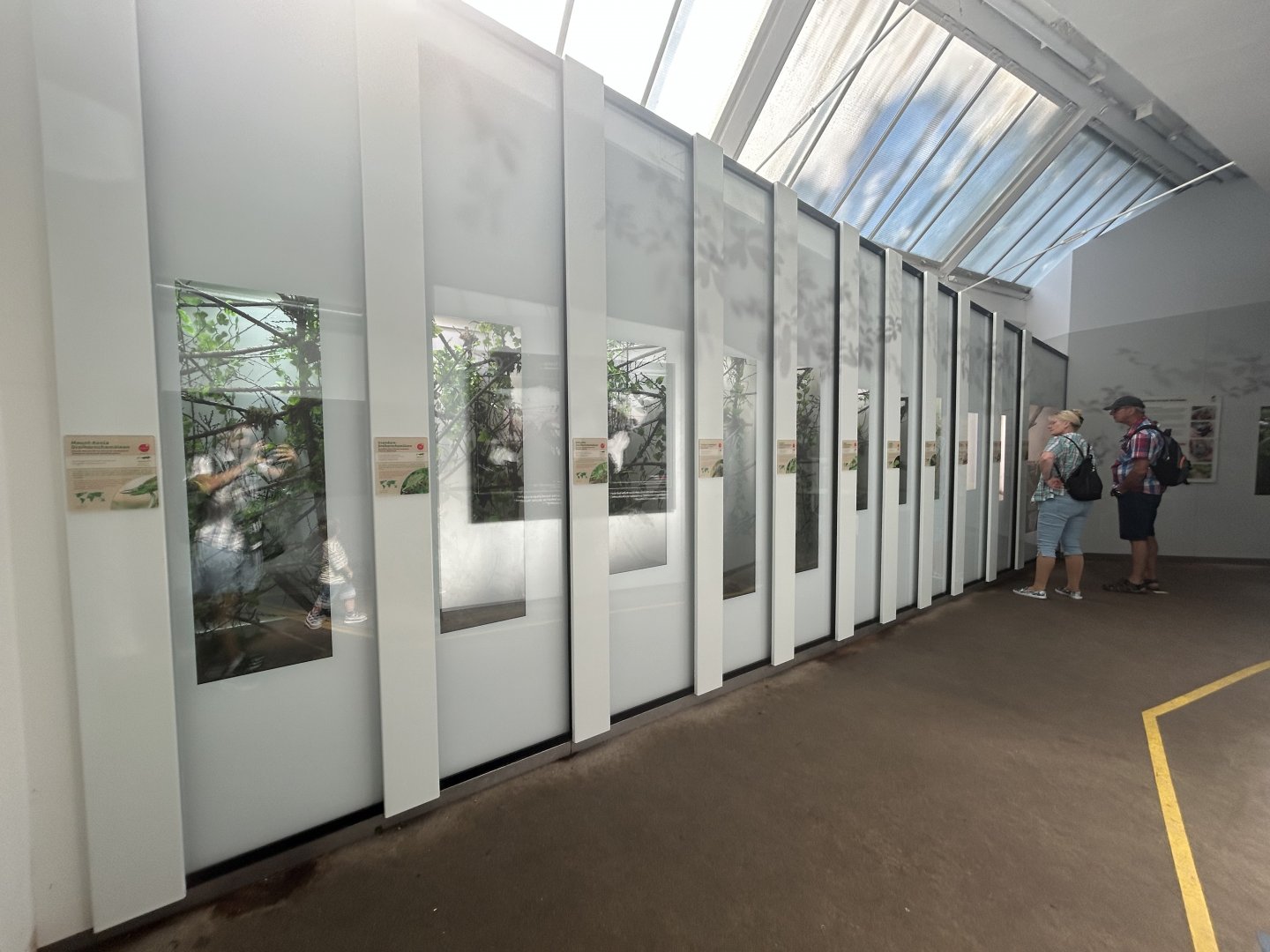 Chameleon & Gecko Exhibits - Conservation House