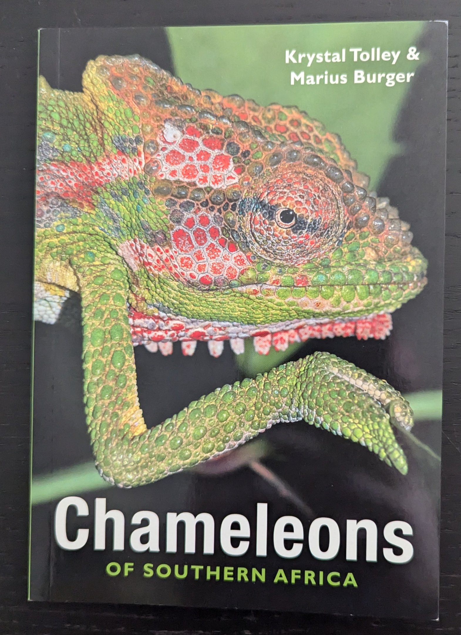 Chameleons of Southern Africa