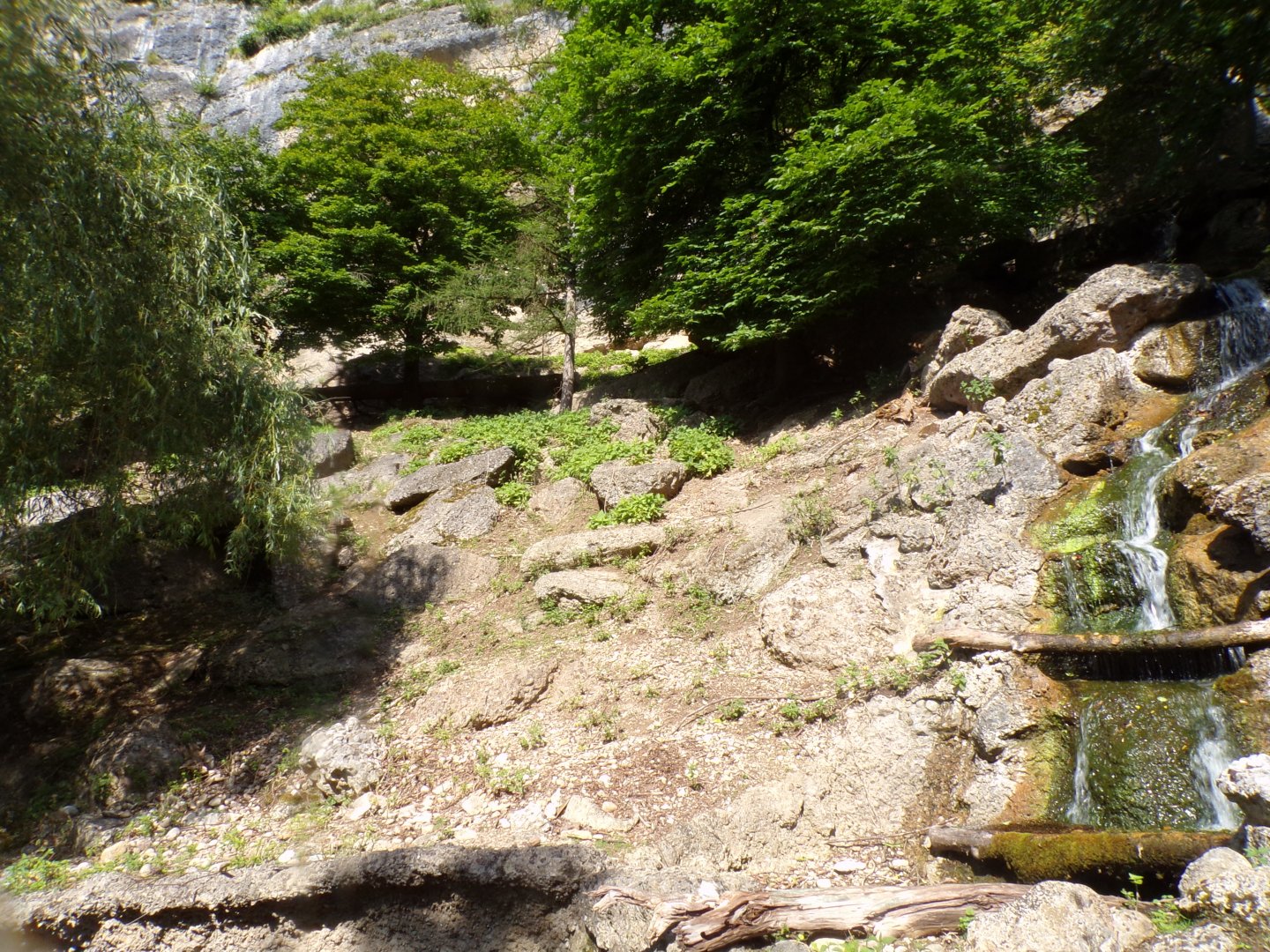 Chamois enclosure 13.7.25