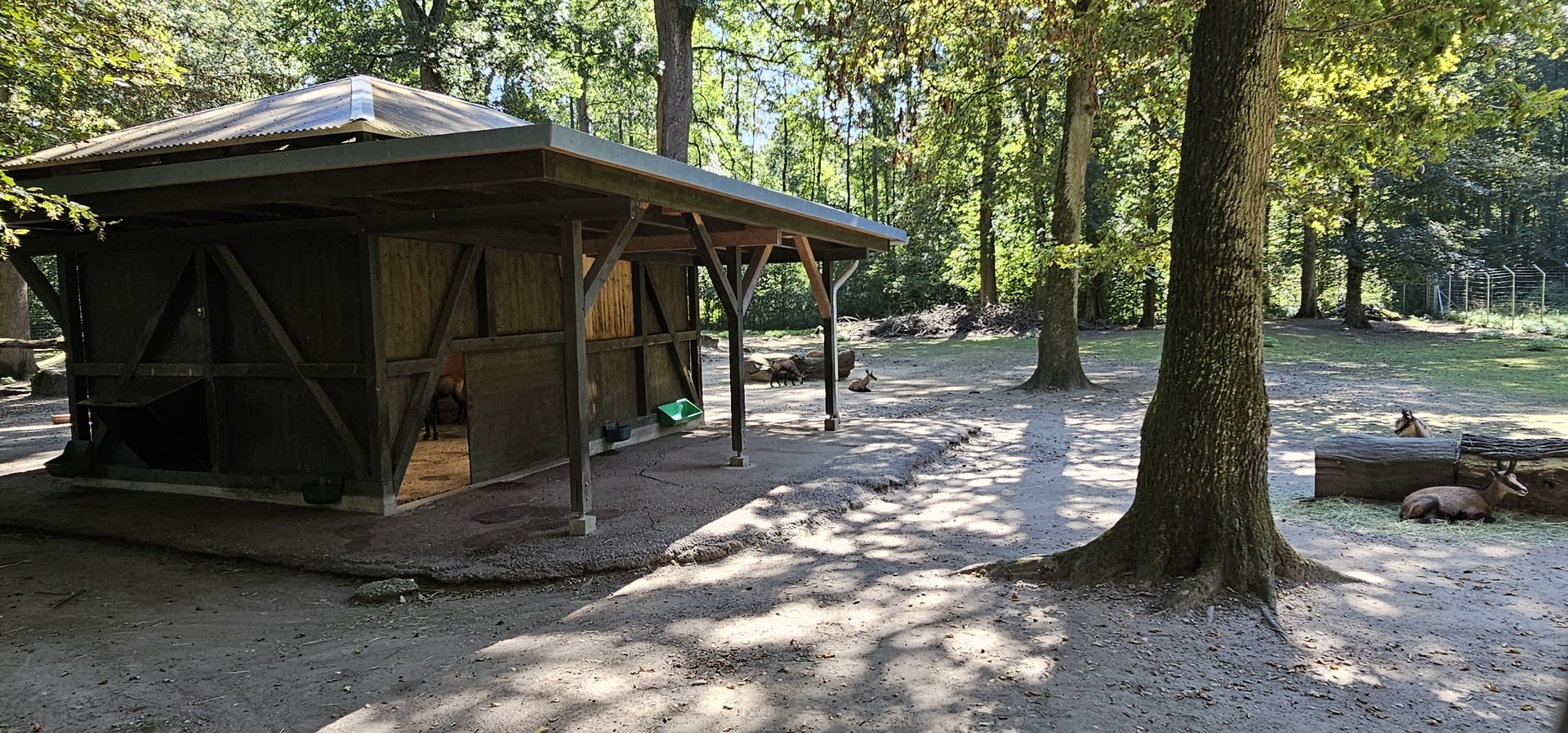 Chamois enclosure