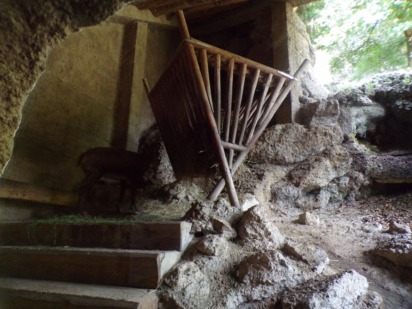 Chamois shelter area 13.7.25