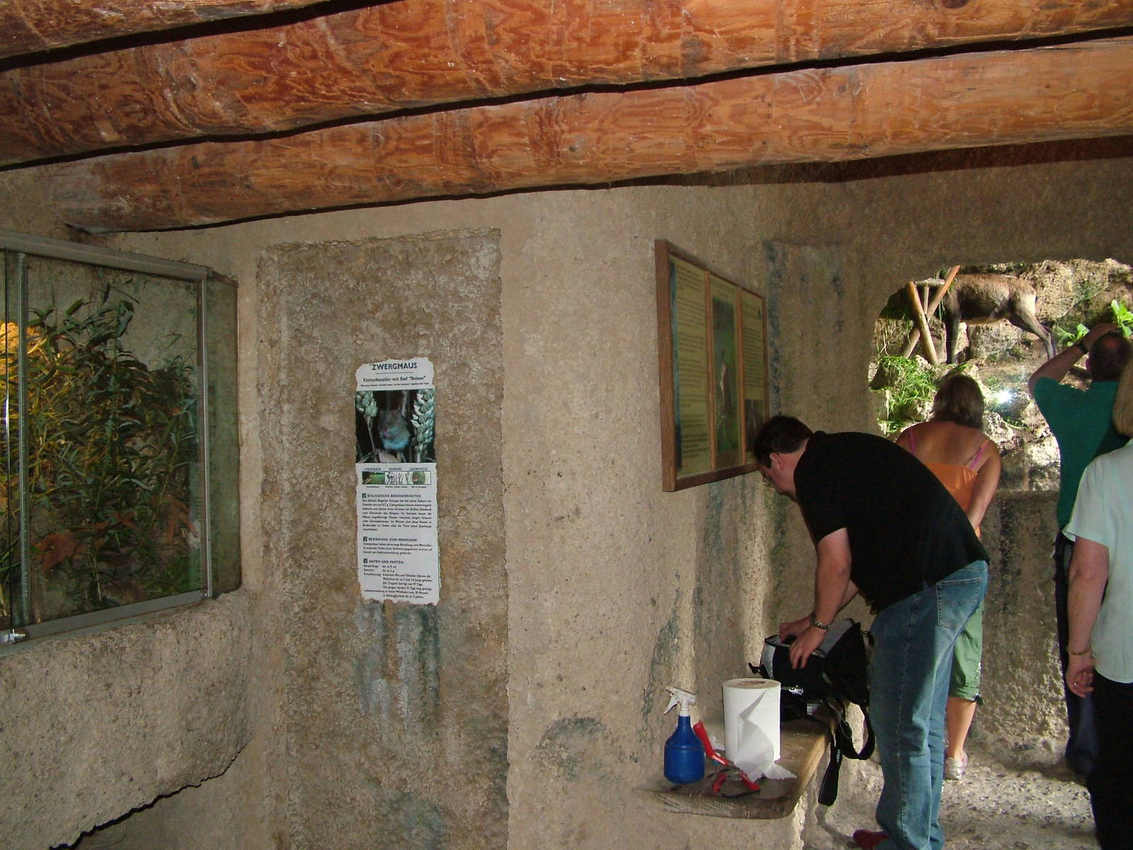 Chamois viewing area and Harvest Mouse exhibit, Salzburg Zoo
