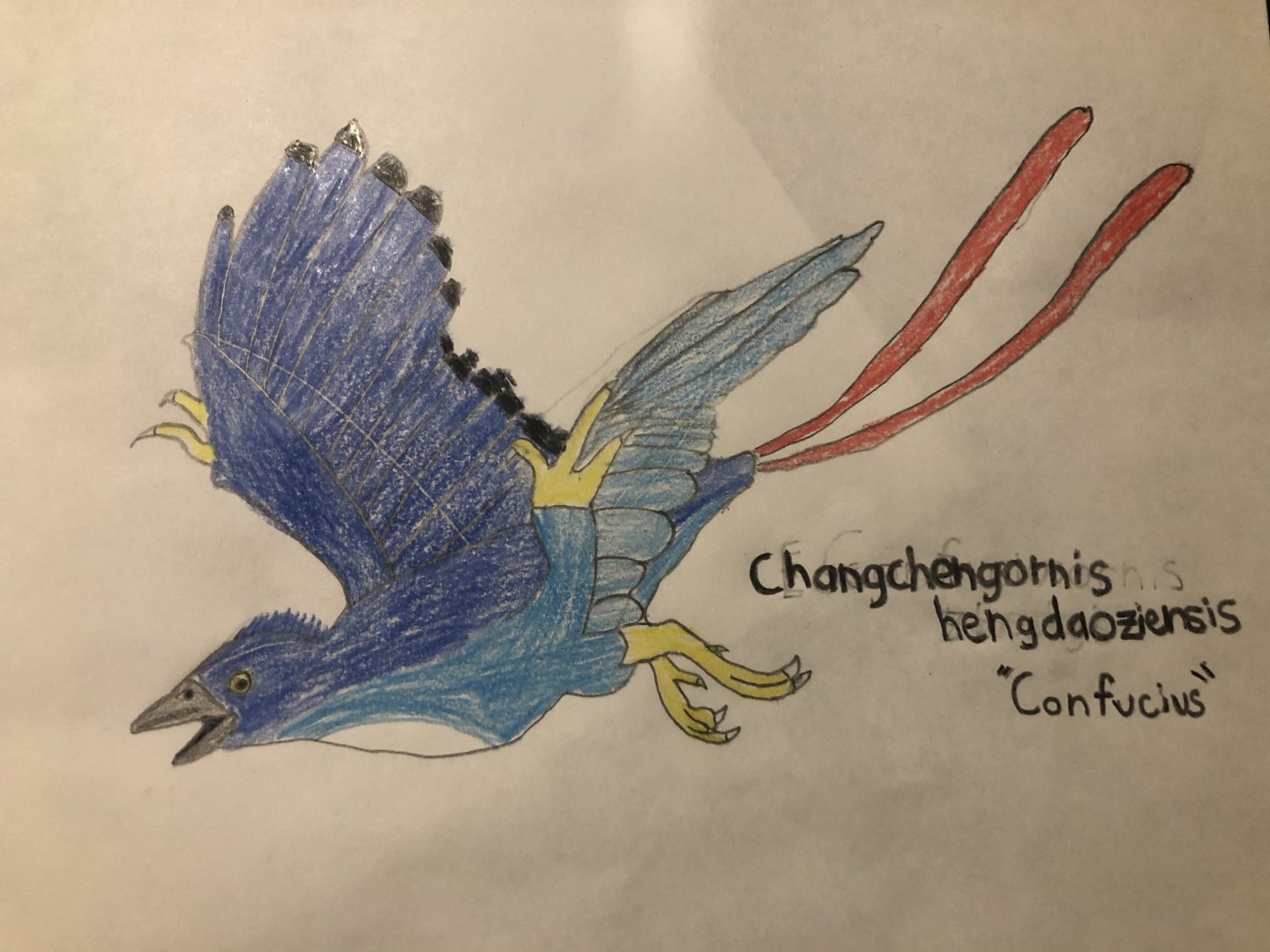 Changchengornis hengdaoziensis