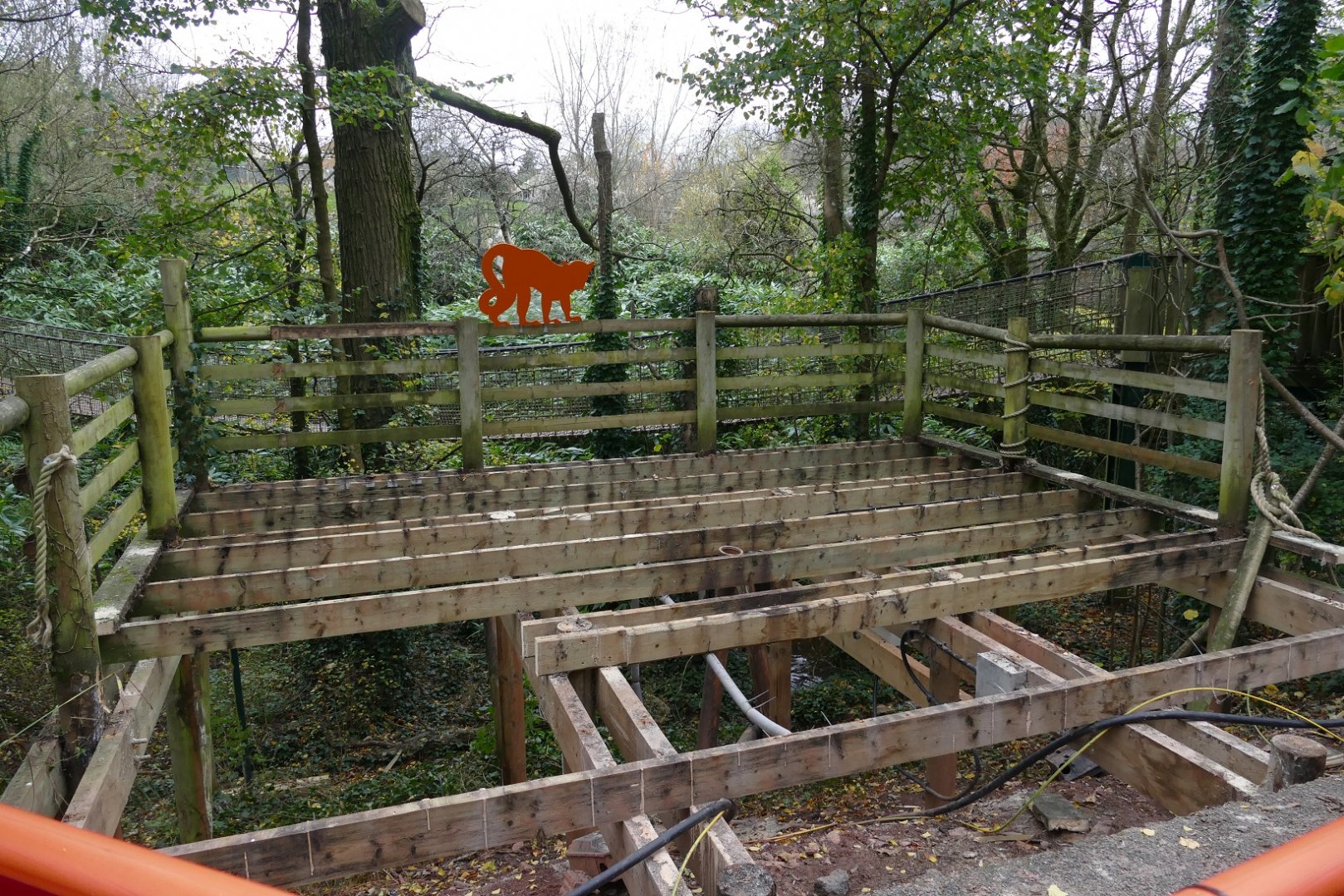 Changes in Lemur Wood, November 2018