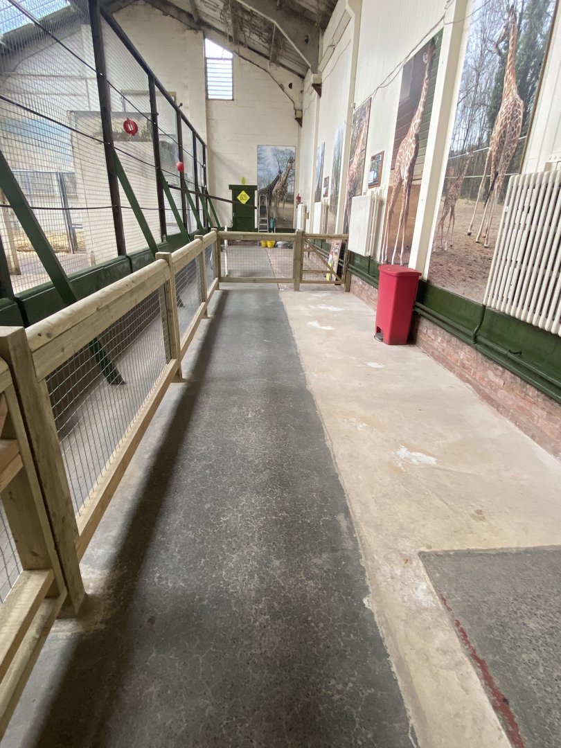 Changes to indoor giraffe enclosure