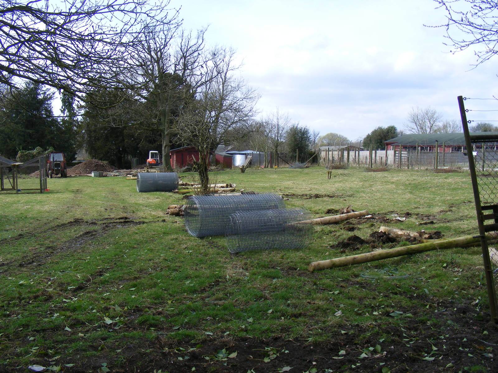 Changes to Somali wild ass stallion enclosure at Marwell Wildlife, 21 March