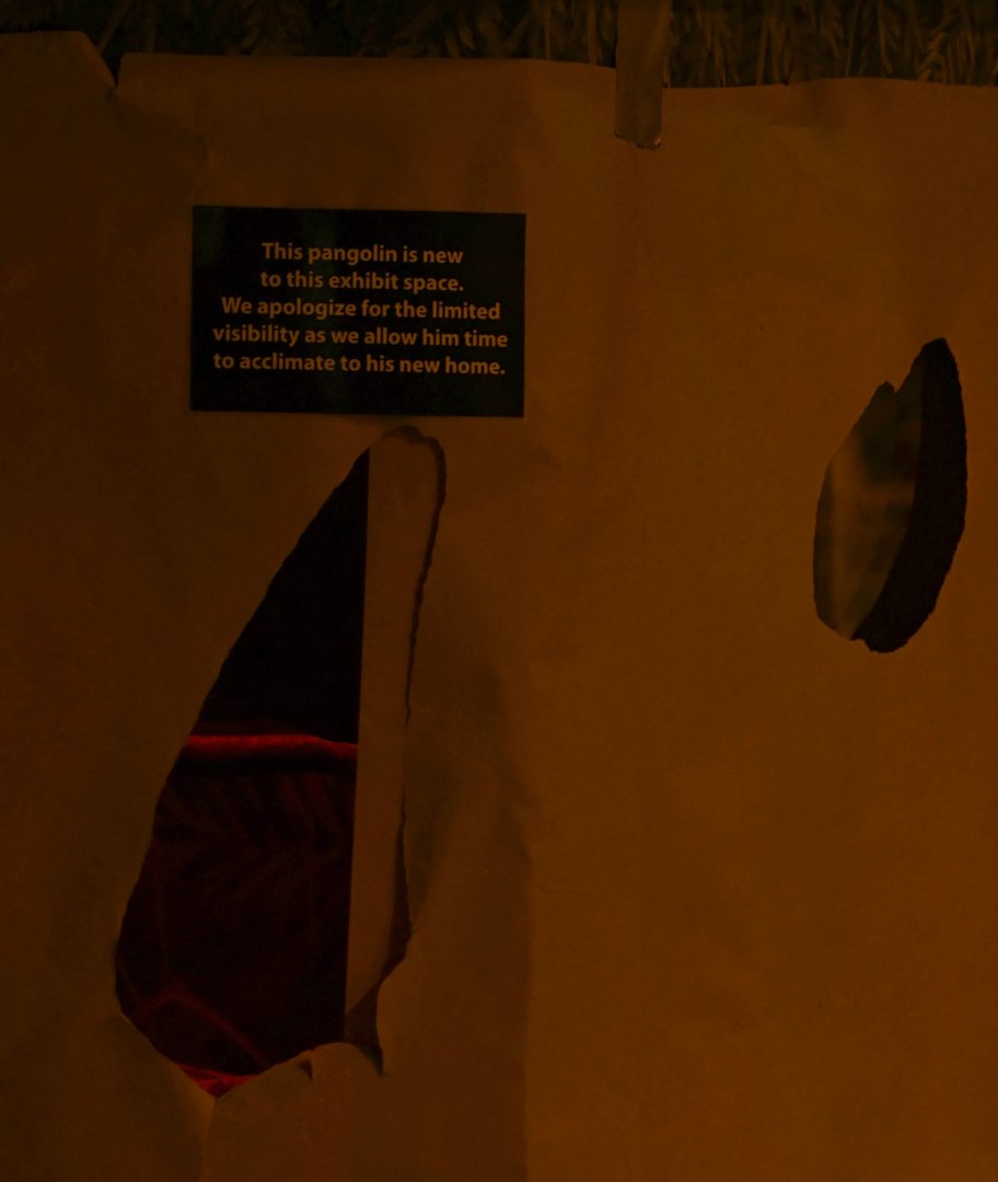 Changes with the pangolin exhibit