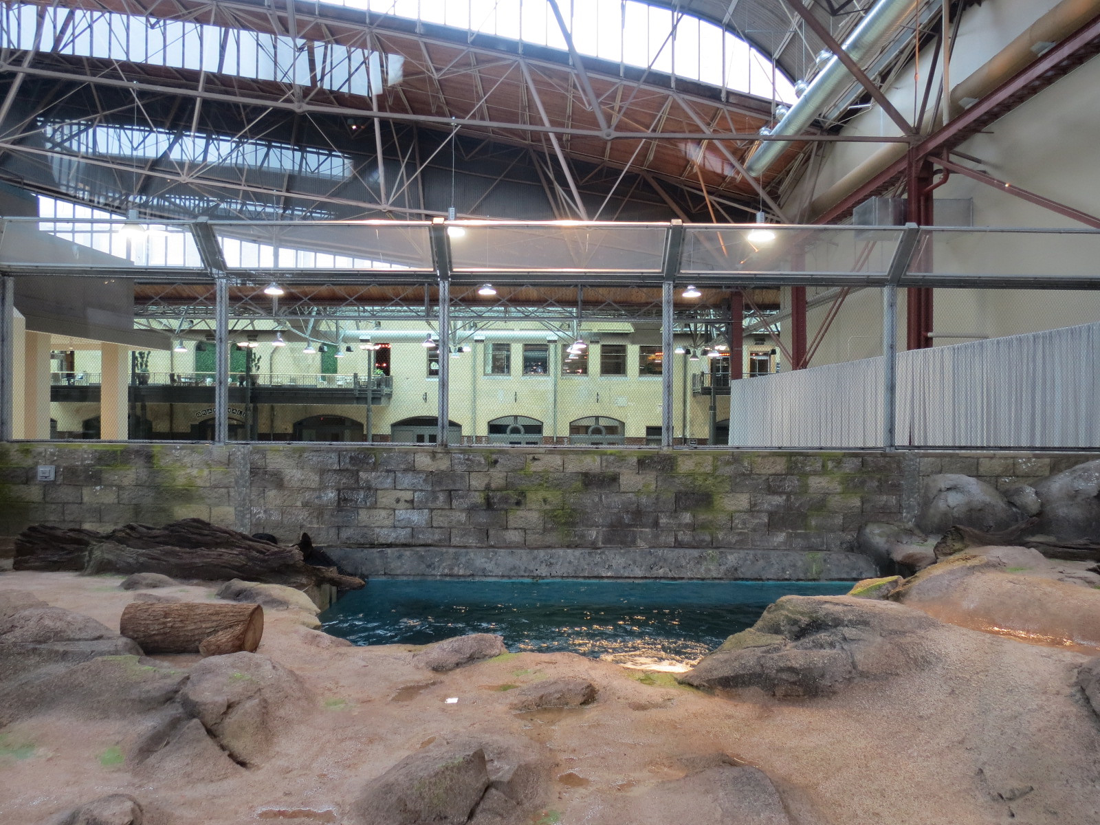 Changing Rivers - North American River Otter Exhibit