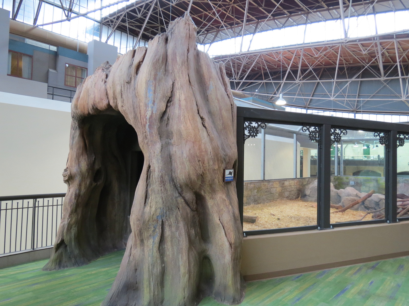 Changing Rivers - North American River Otter Exhibit