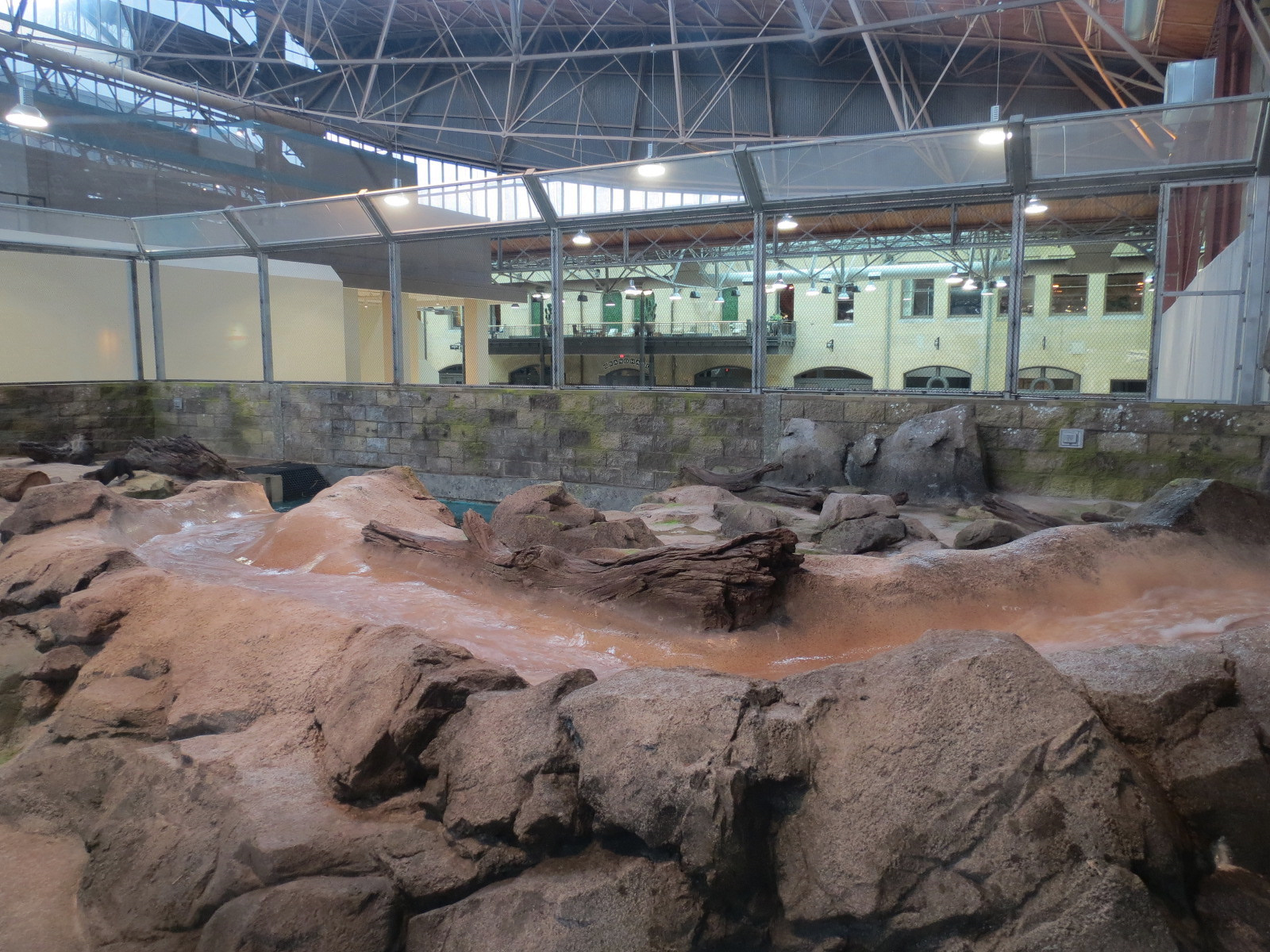 Changing Rivers - North American River Otter Exhibit