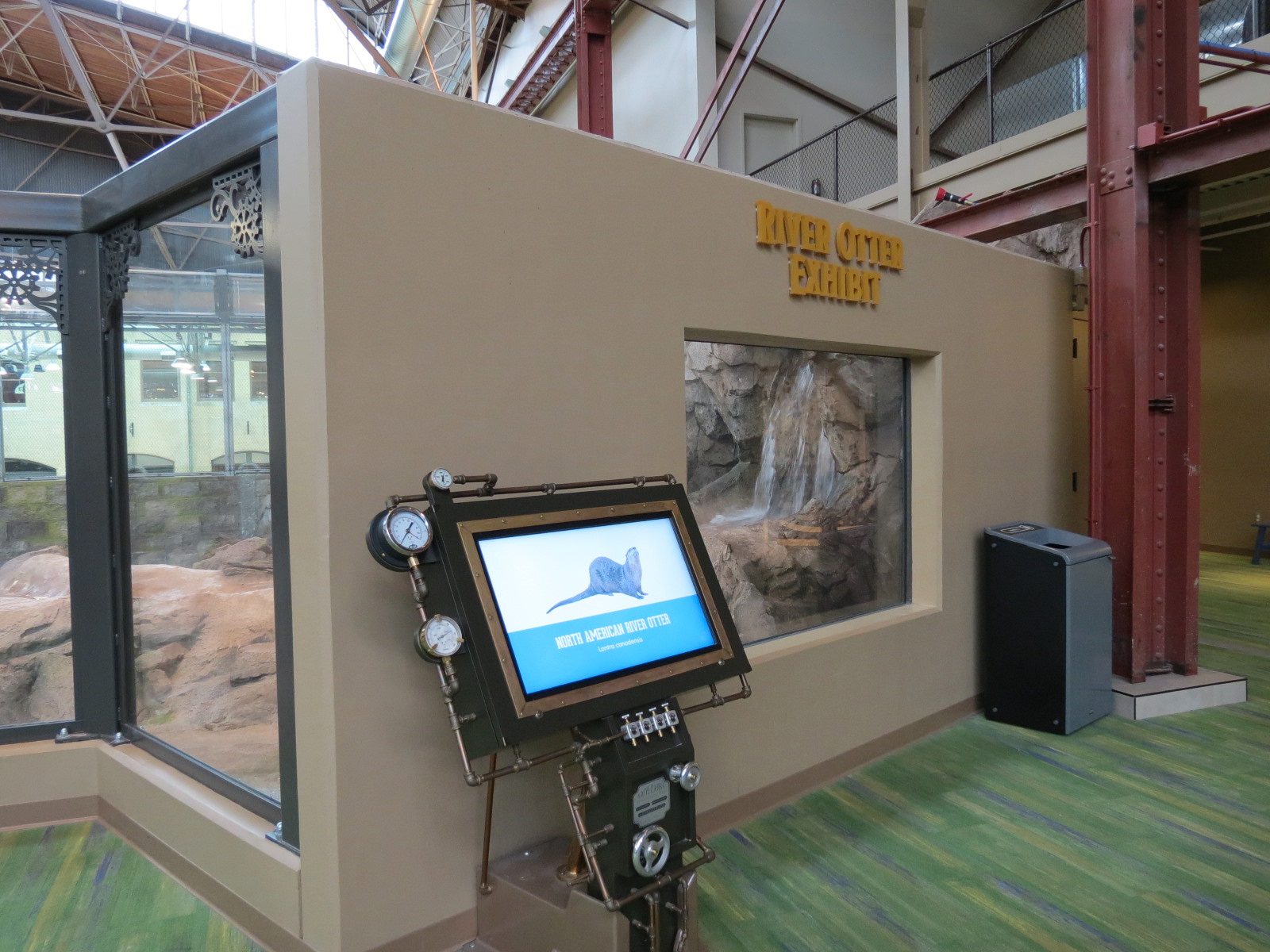Changing Rivers - North American River Otter Exhibit