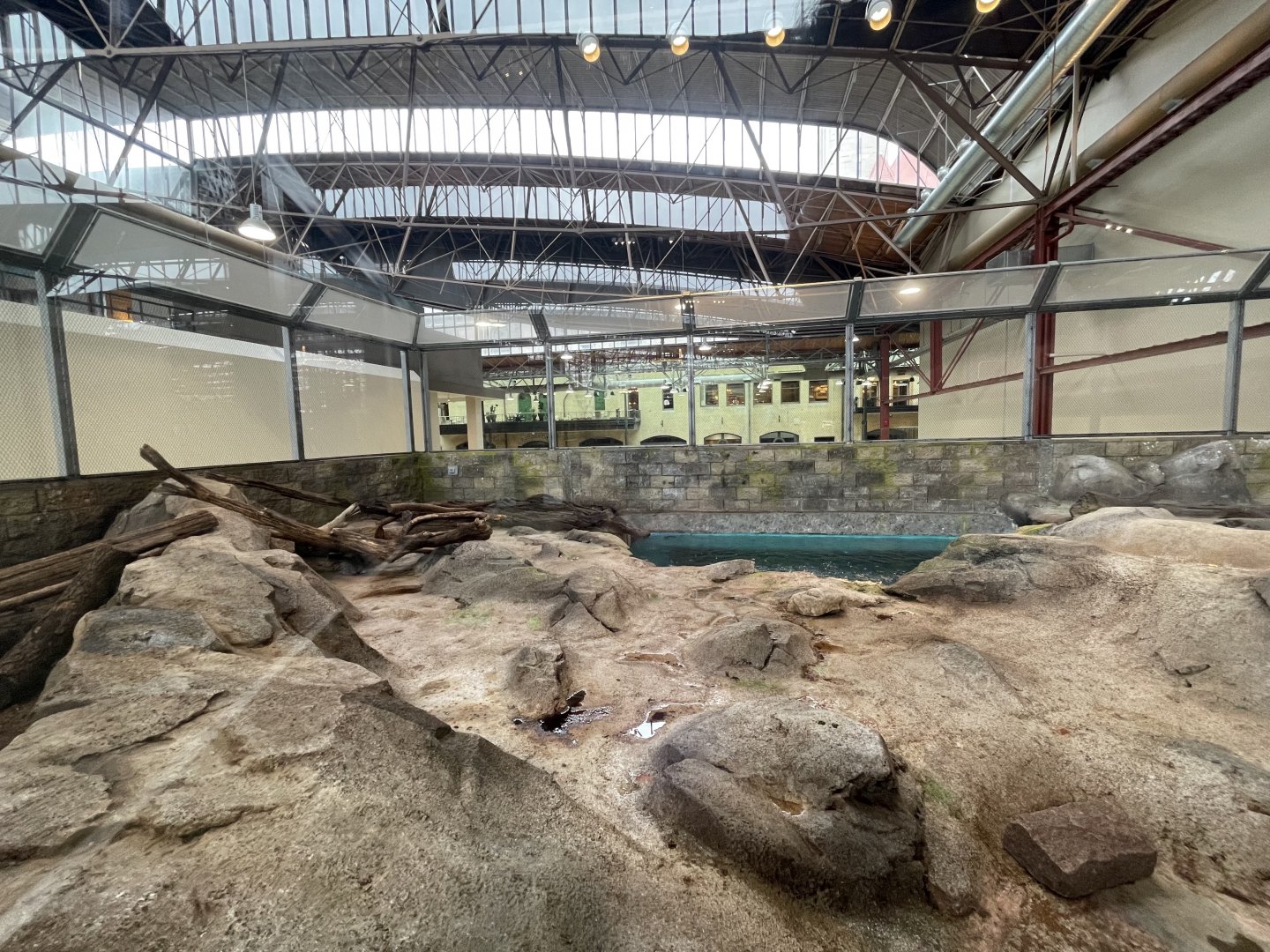 Changing Rivers- River Otter Exhibit