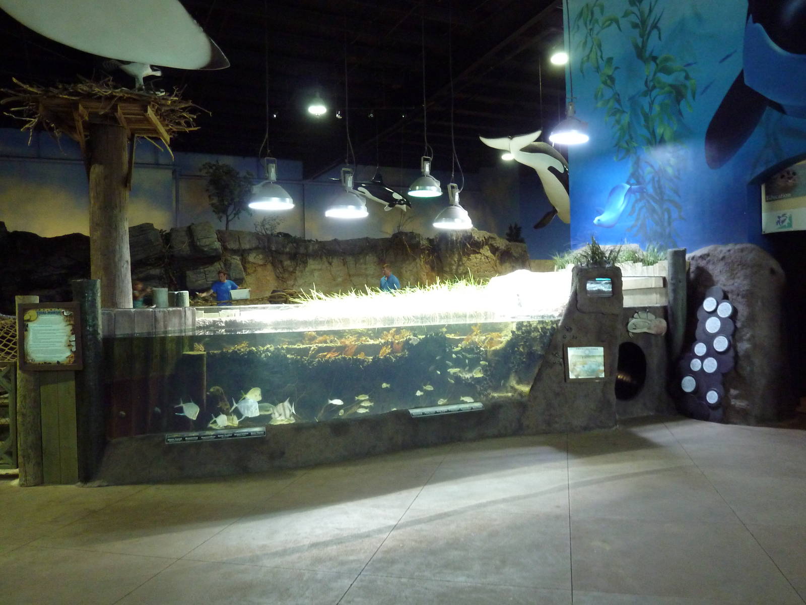 Changing Tides Exhibit