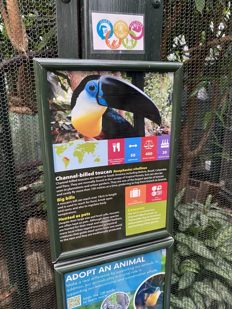 Channel-billed toucan signage 050924