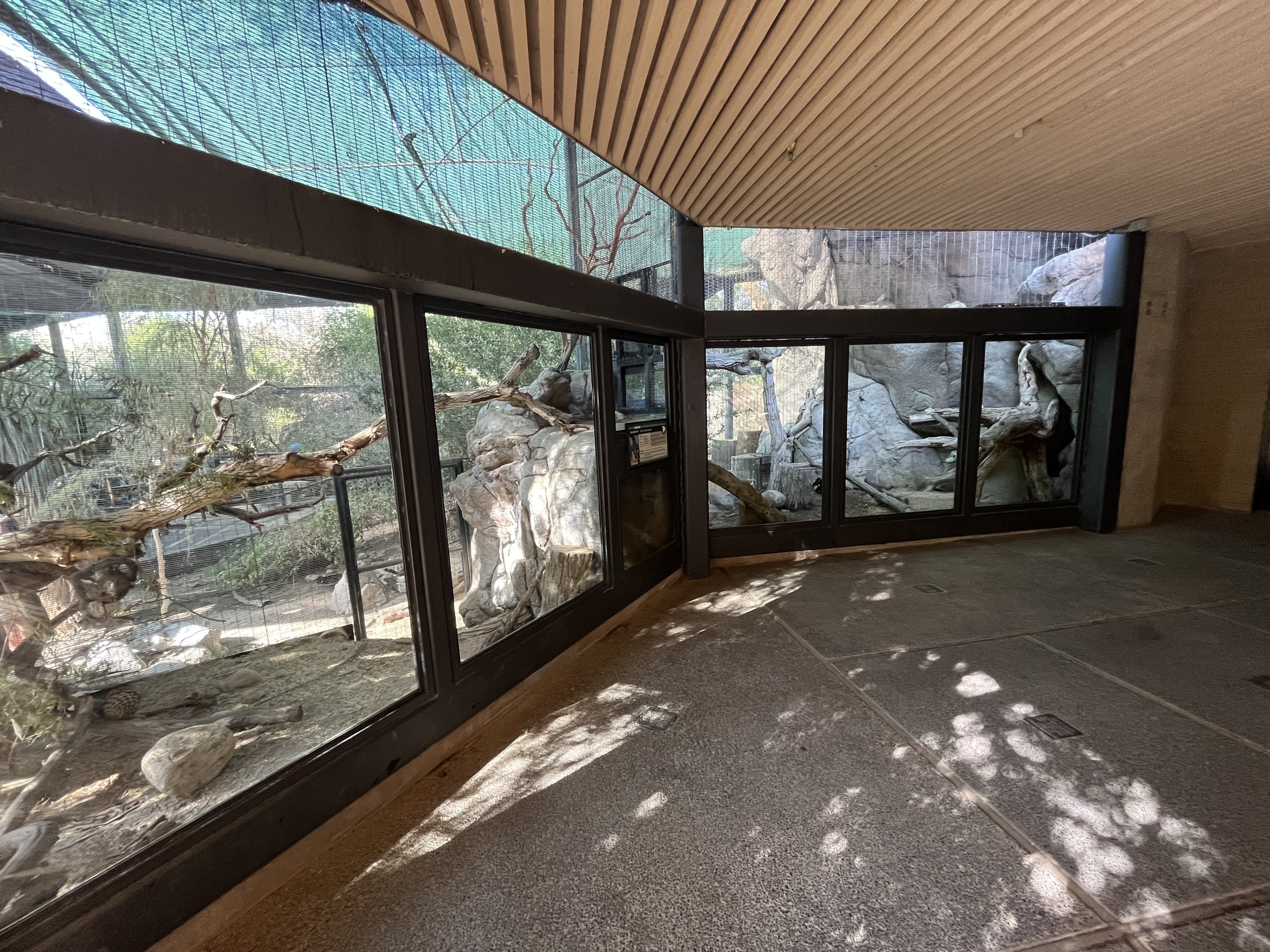 Channel Island Fox Exhibit