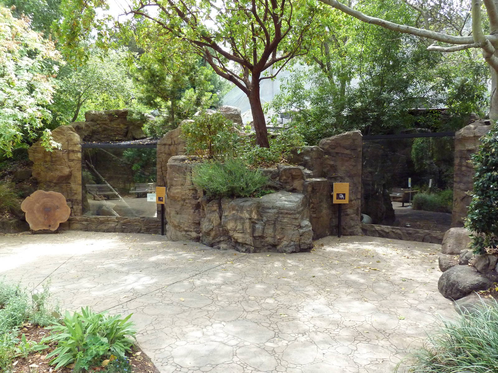 Channel Island Fox/Porcupine + Badger Exhibits