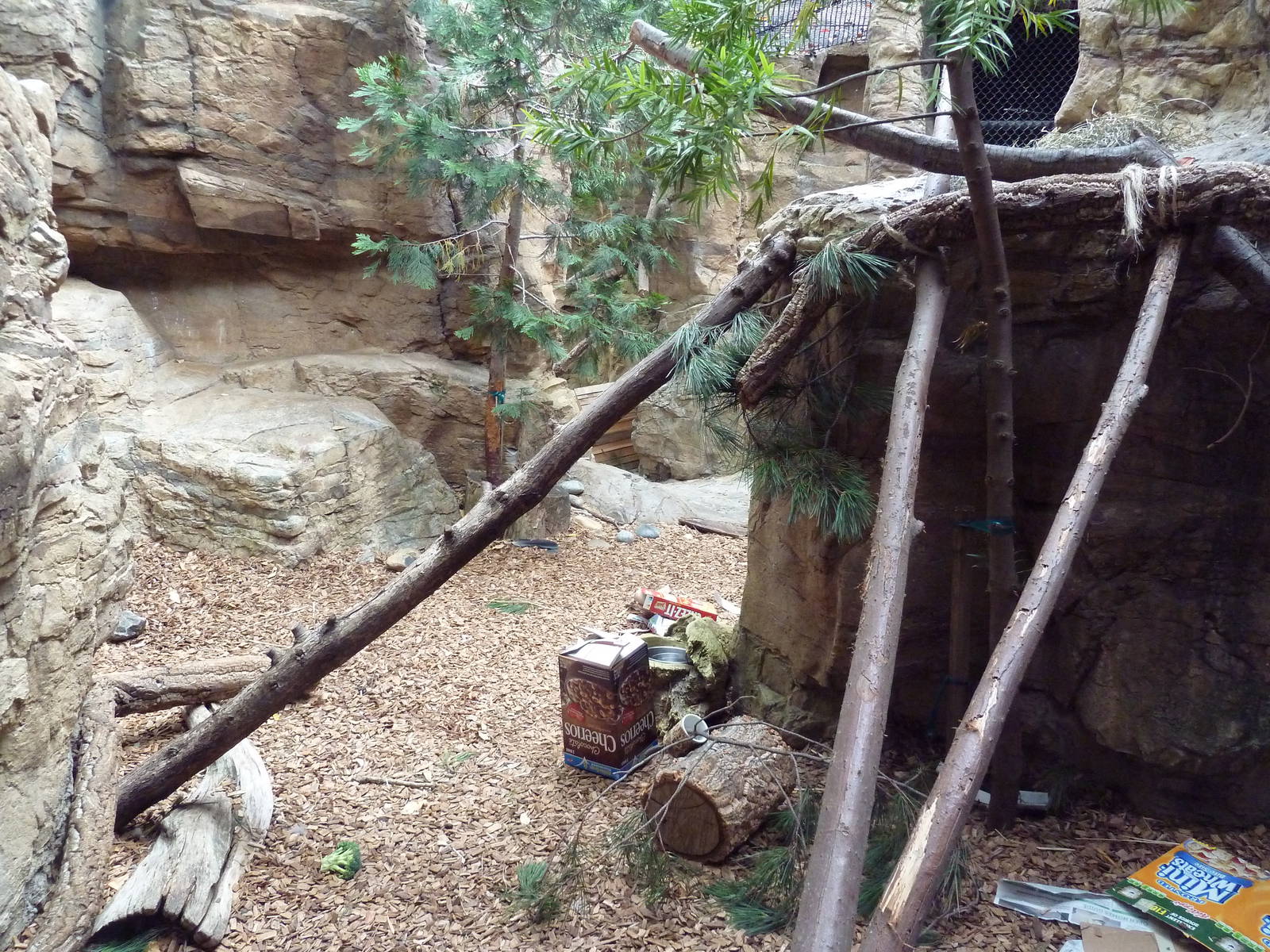 Channel Island Fox/Porcupine Exhibit