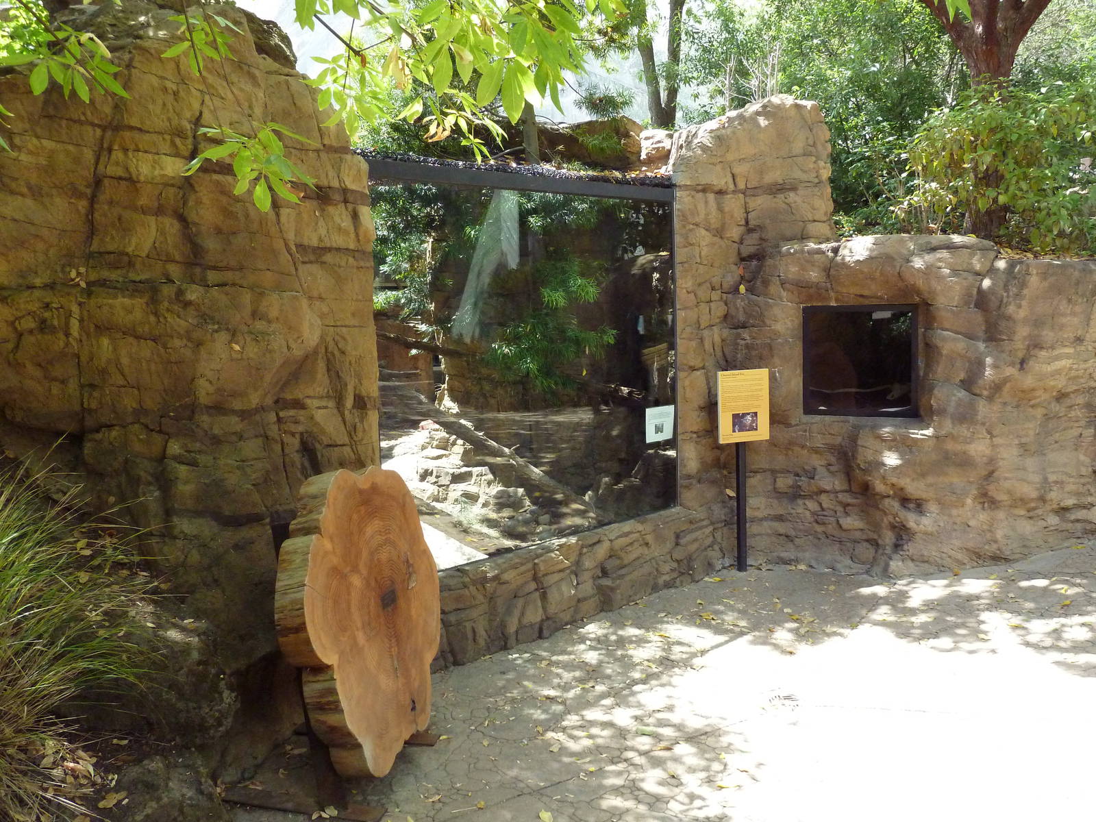 Channel Island Fox/Porcupine Exhibit
