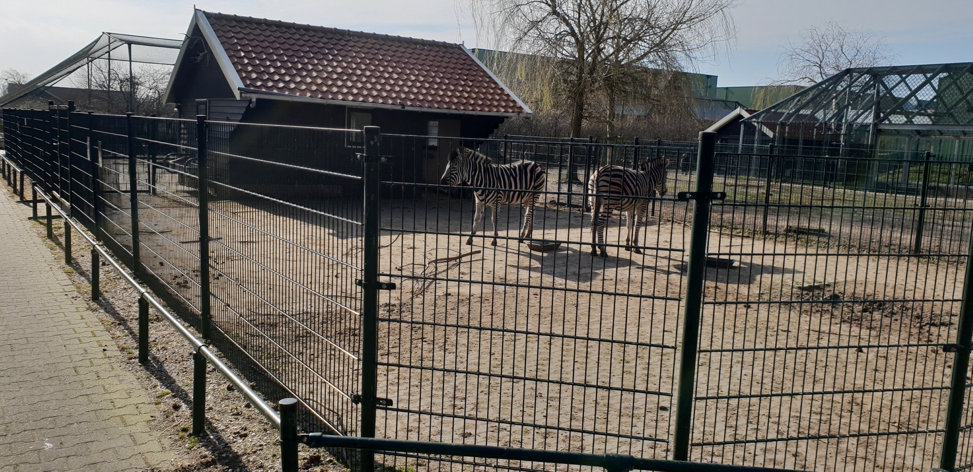 Chapman zebra - enclosure