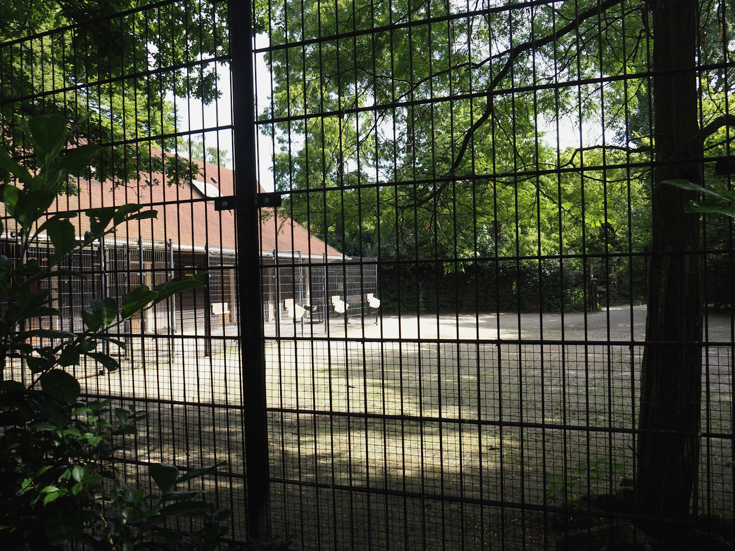 Chapman's zebra and North African ostrich stable and separation paddocks, 2024-06-30