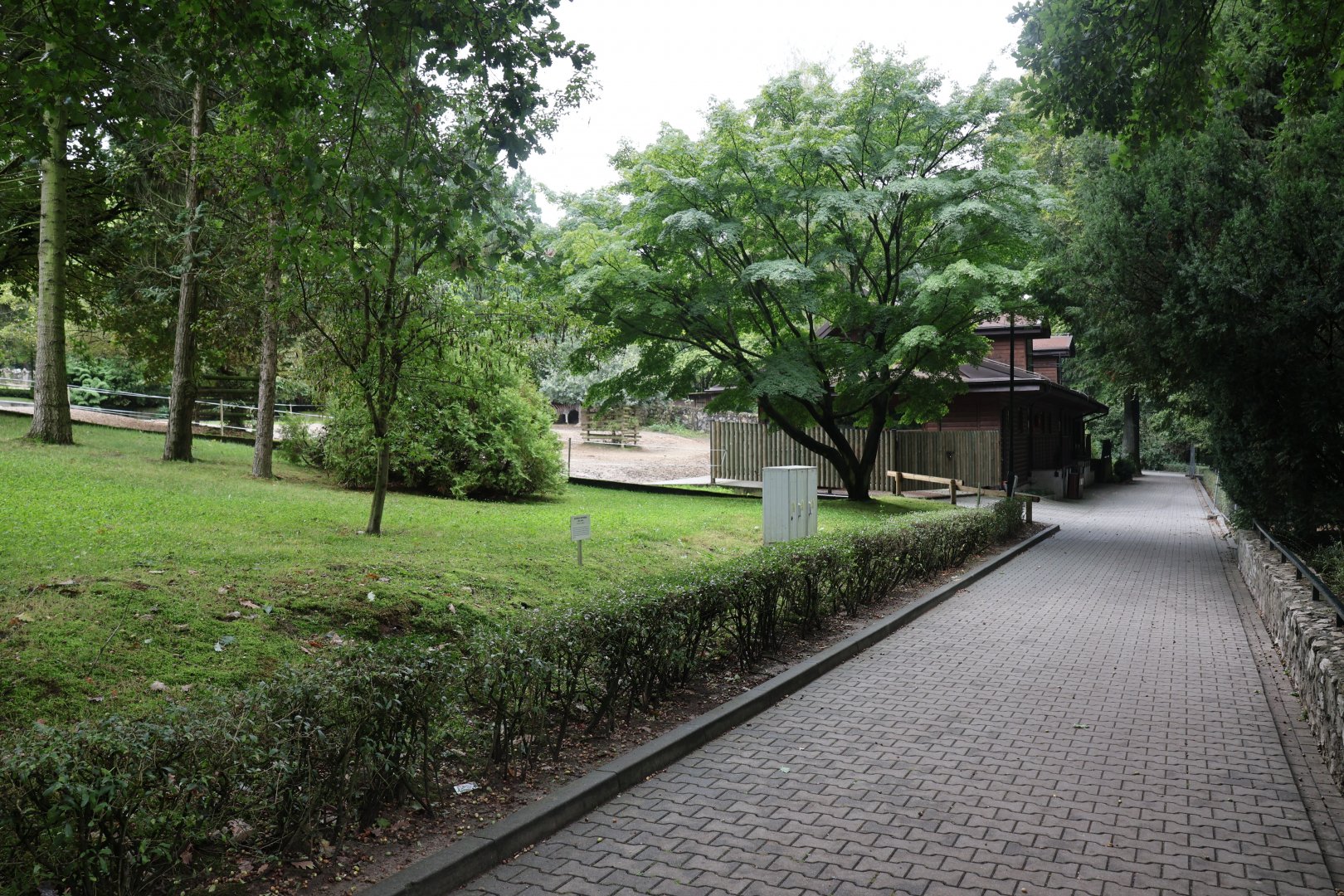 Chapman's zebra enclosure