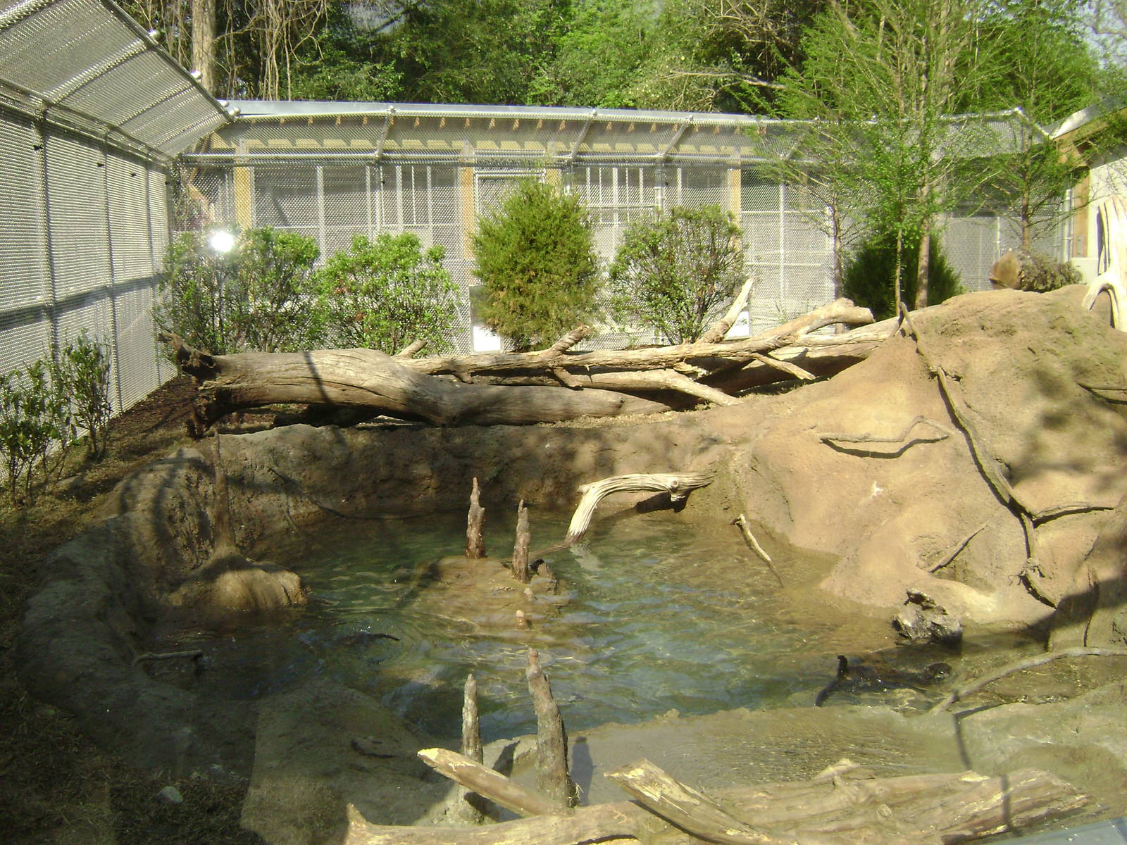 Charles Towne Landing - New Otter Exhibit