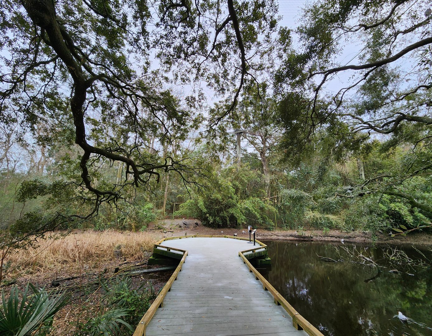 Charles Towne Landing - Wetland aviary path