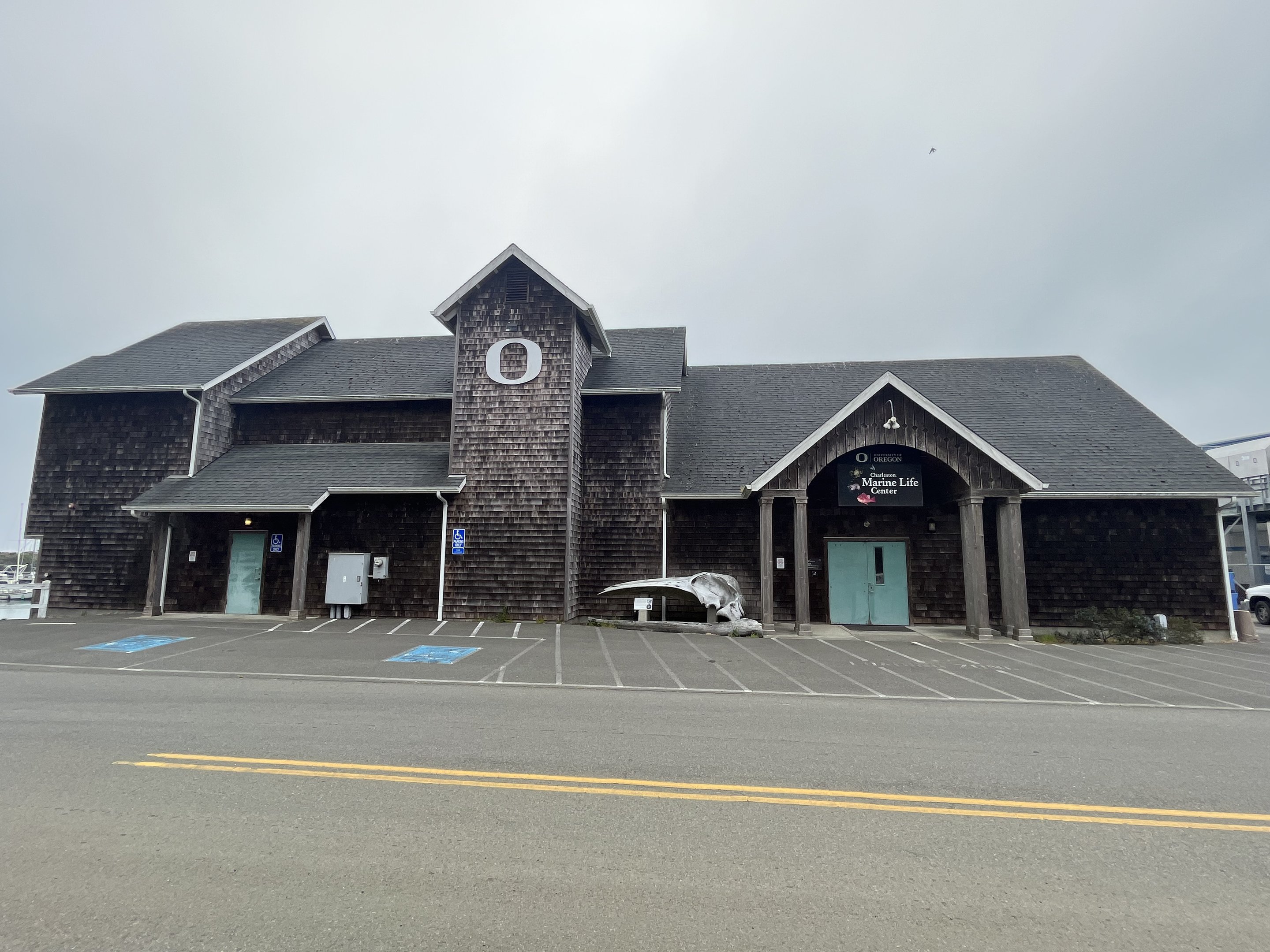 Charleston Marine Life Center