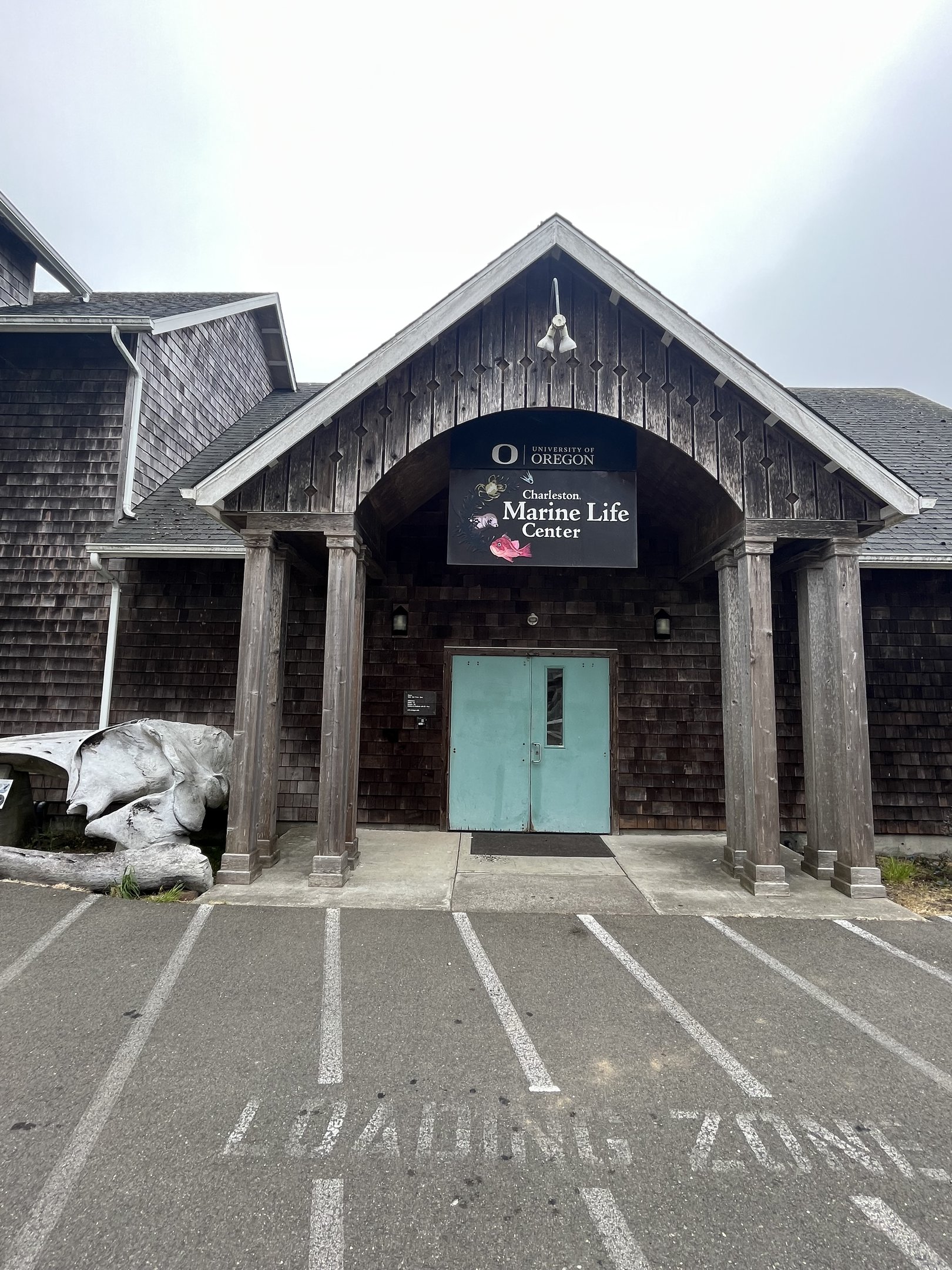 Charleston Marine Life Center