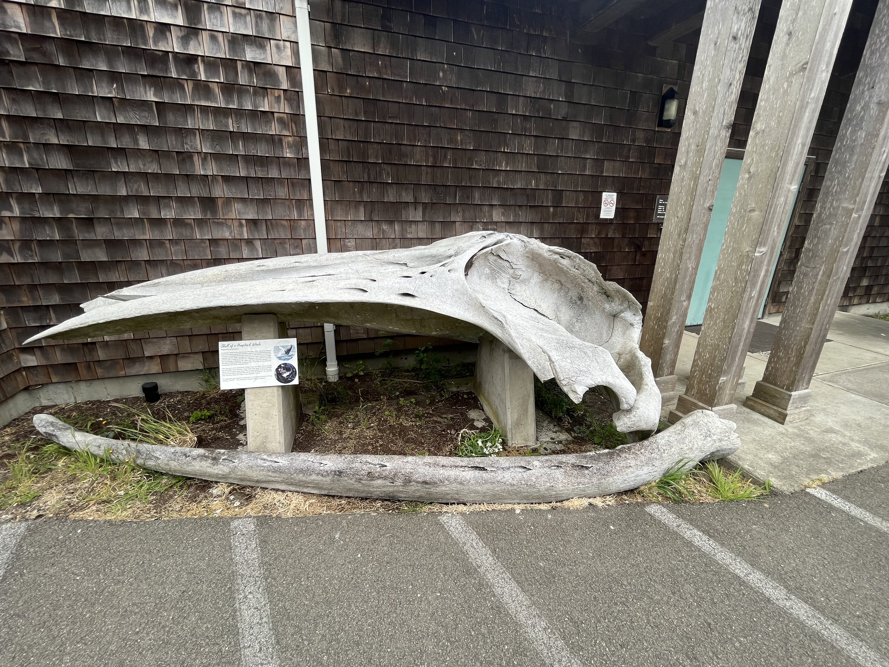 Charleston Marine Life Center