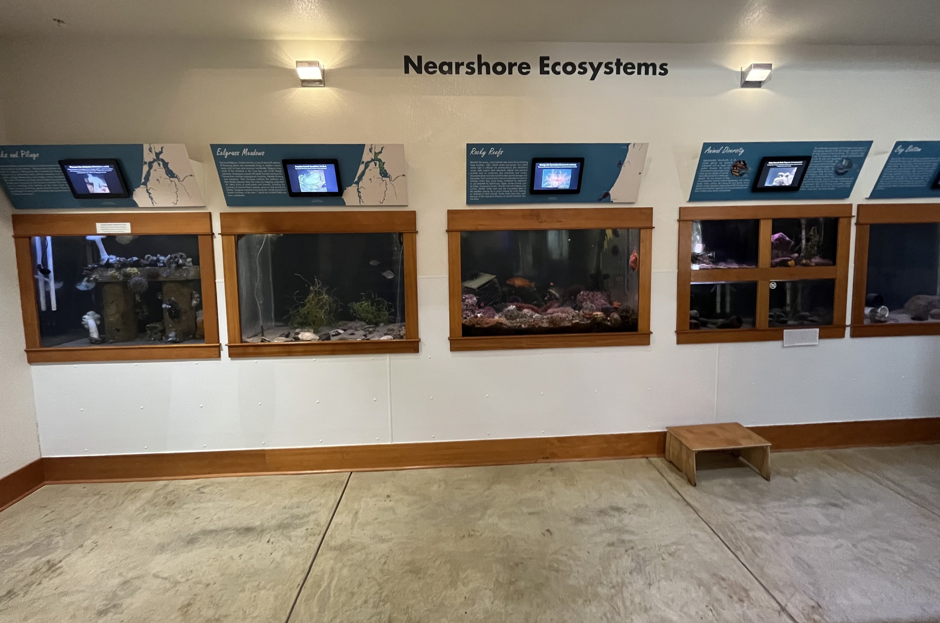 Charleston Marine Life Center