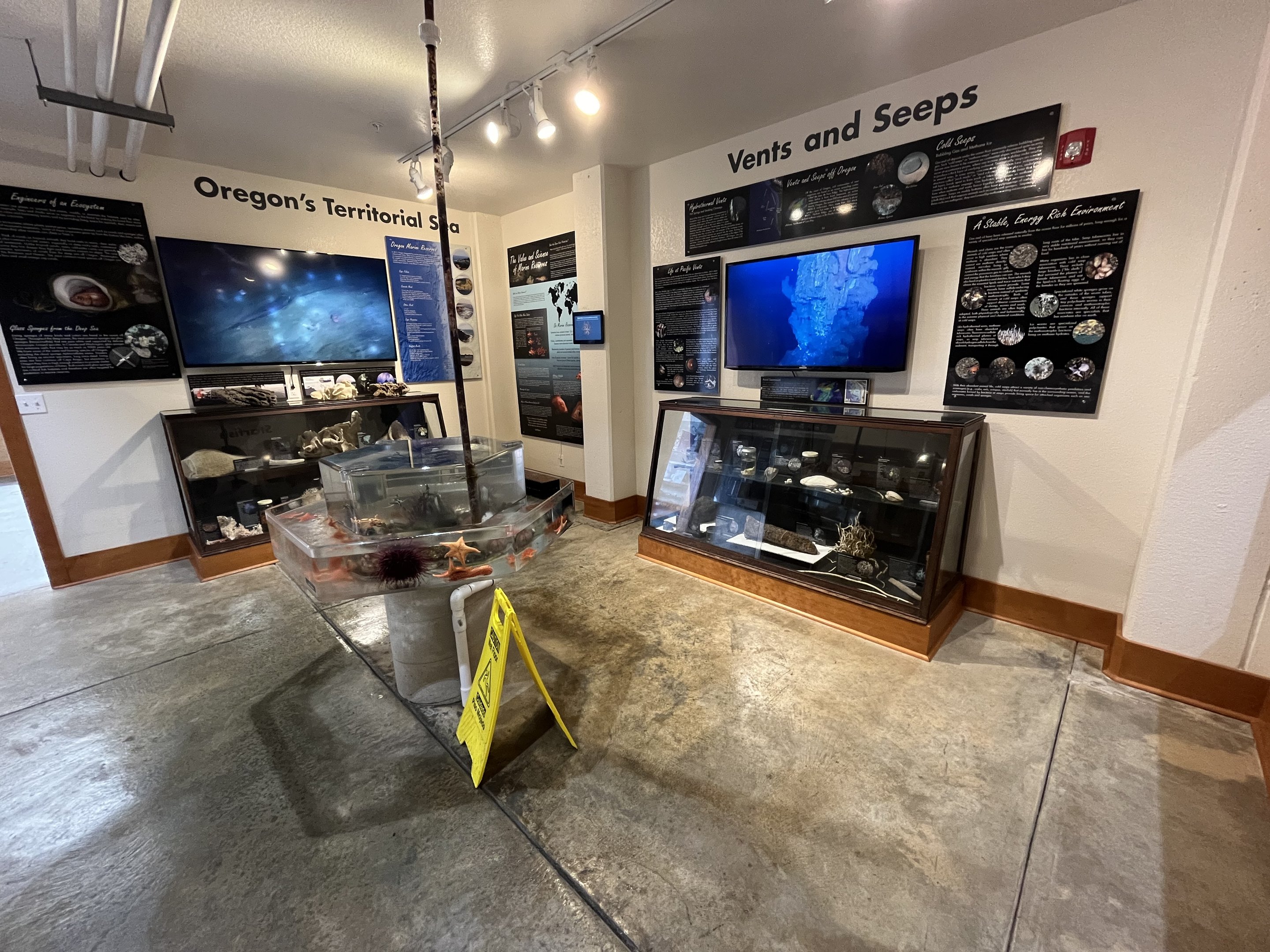 Charleston Marine Life Center