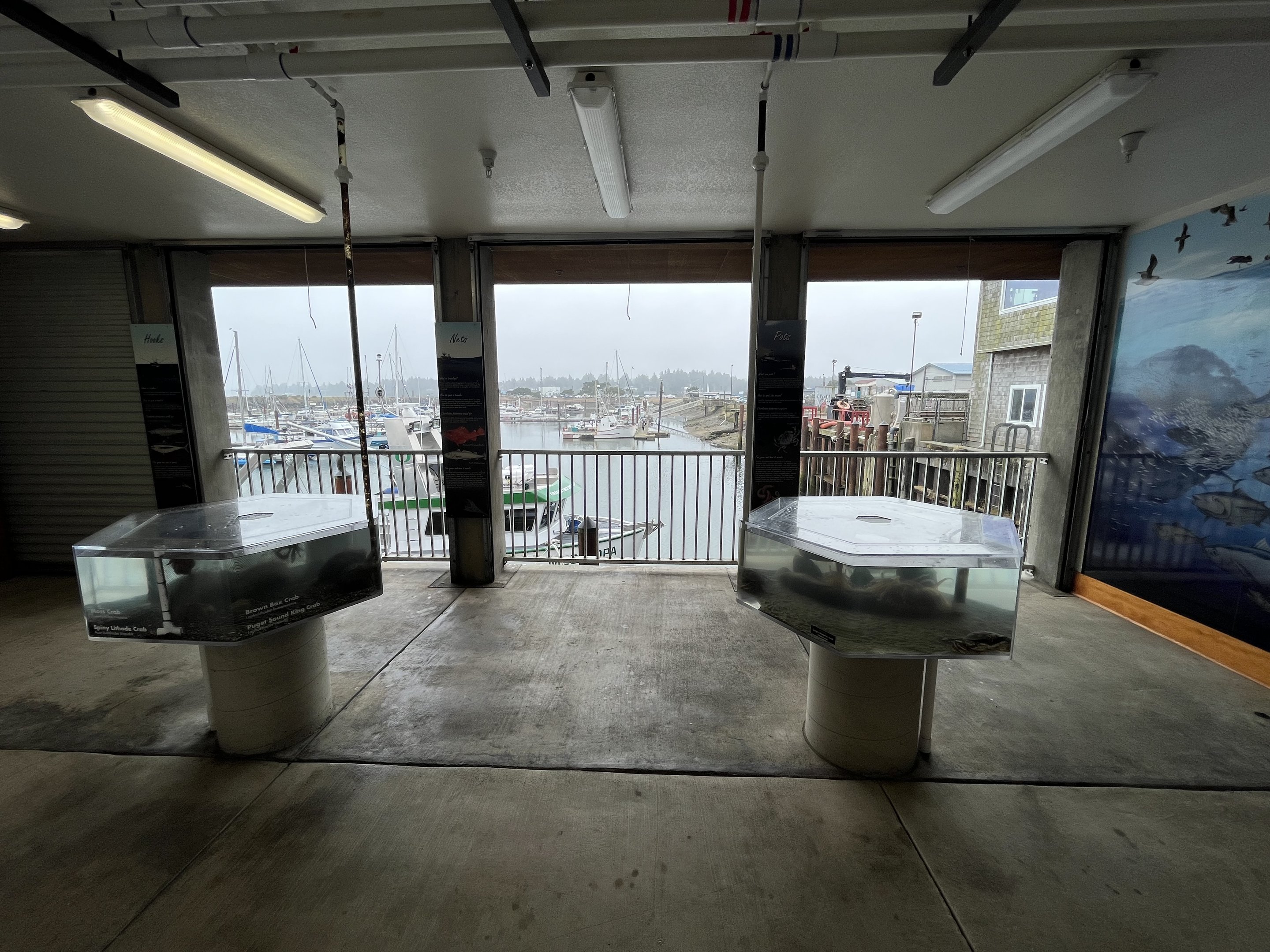 Charleston Marine Life Center