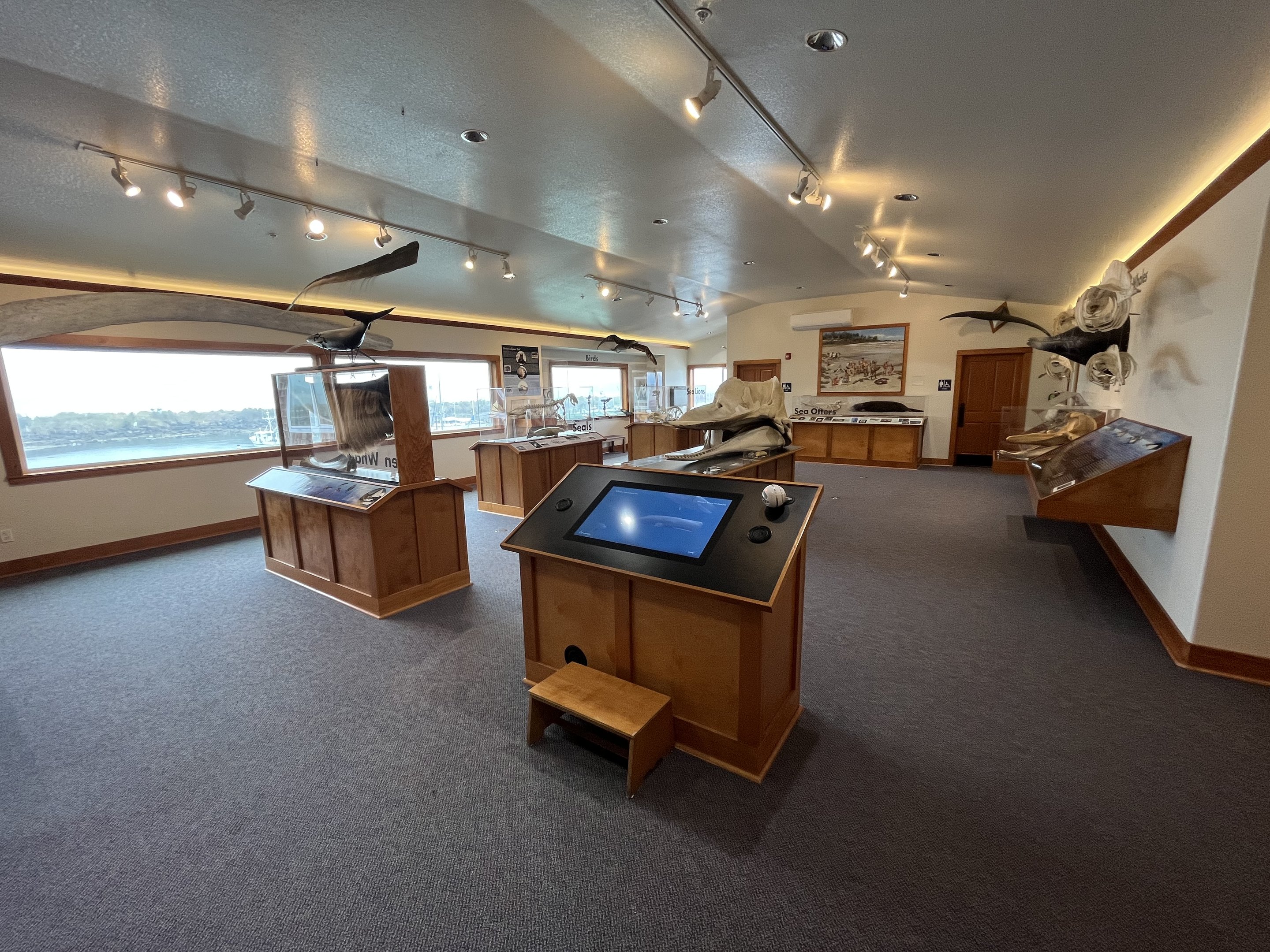 Charleston Marine Life Center