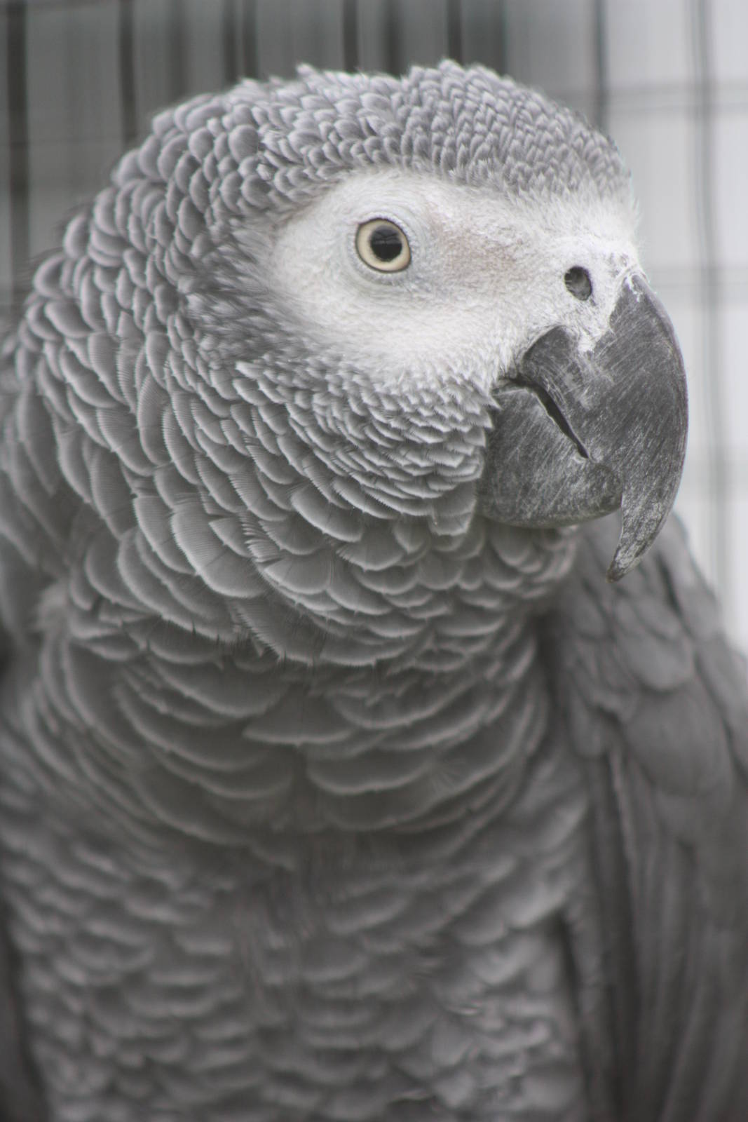 Charlie 2, 25th September 2014