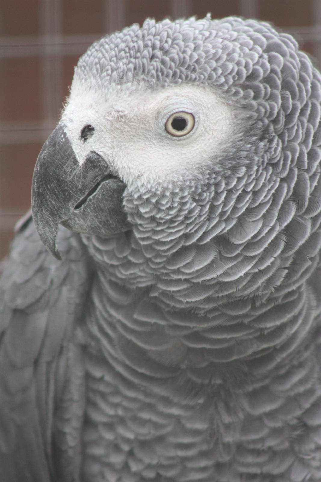 Charlie 2, 25th September 2014