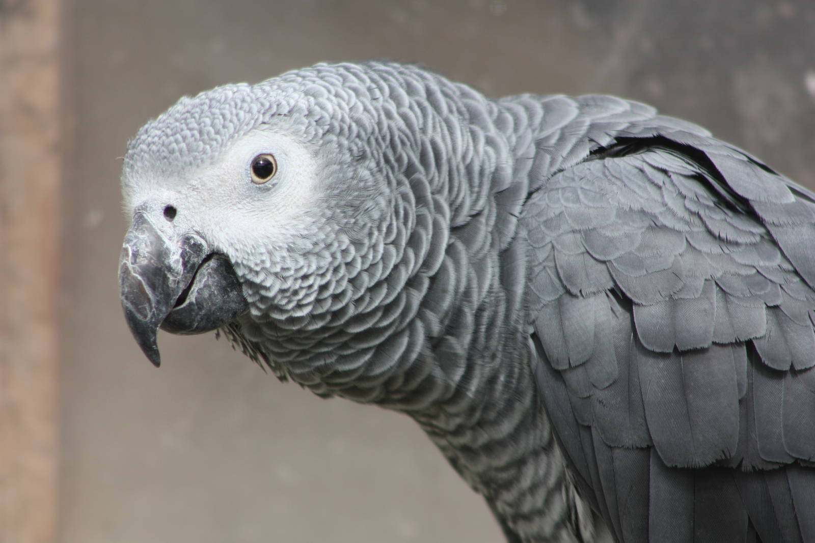 Charlie, 25th September 2014