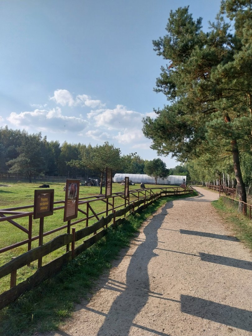 Charlotta Zoo - General view