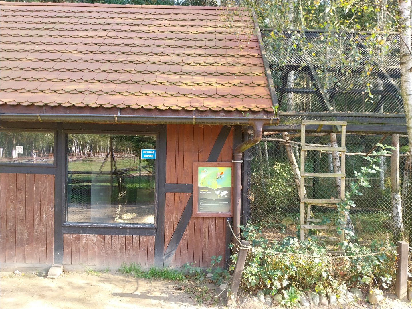 Charlotta Zoo - Mexican Military Macaw (Ara militaris mexicana)