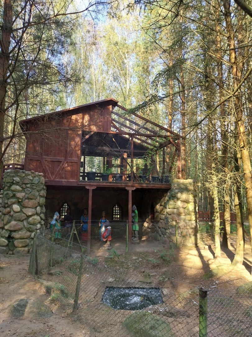 Charlotta Zoo - Pygmy Marmoset (Cebuella pygmaea)