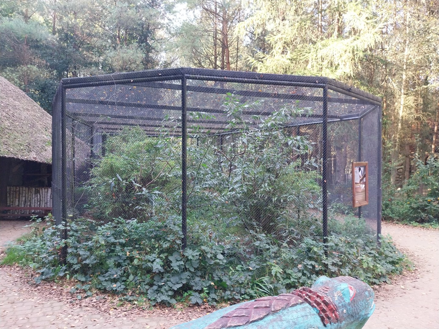 Charlotta Zoo - Red-billed Blue Magpie (Urocissa erythroryncha) and Common Shelduck (Tadorna tadorna)