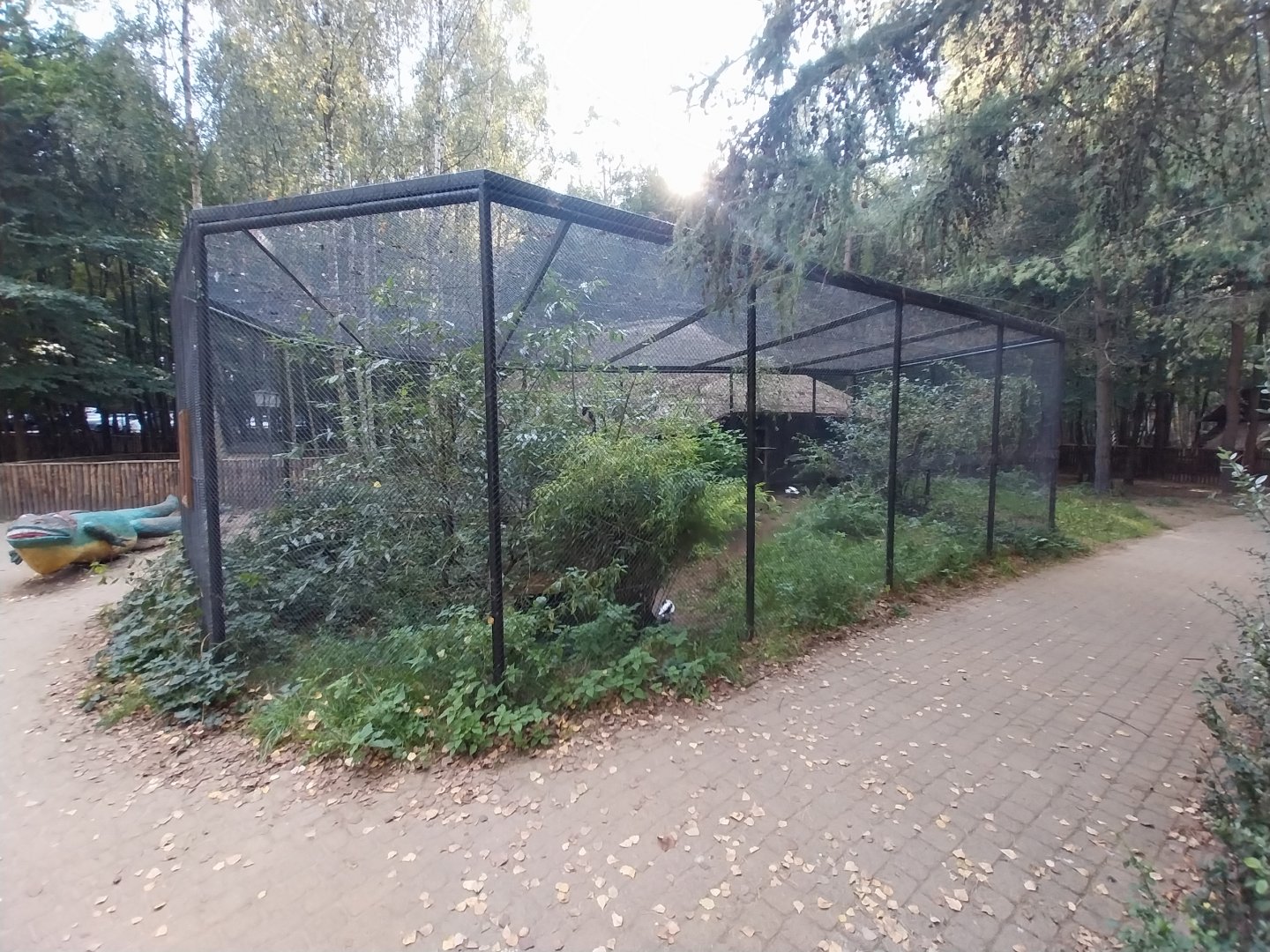 Charlotta Zoo - Red-billed Blue Magpie (Urocissa erythroryncha) and Common Shelduck (Tadorna tadorna)