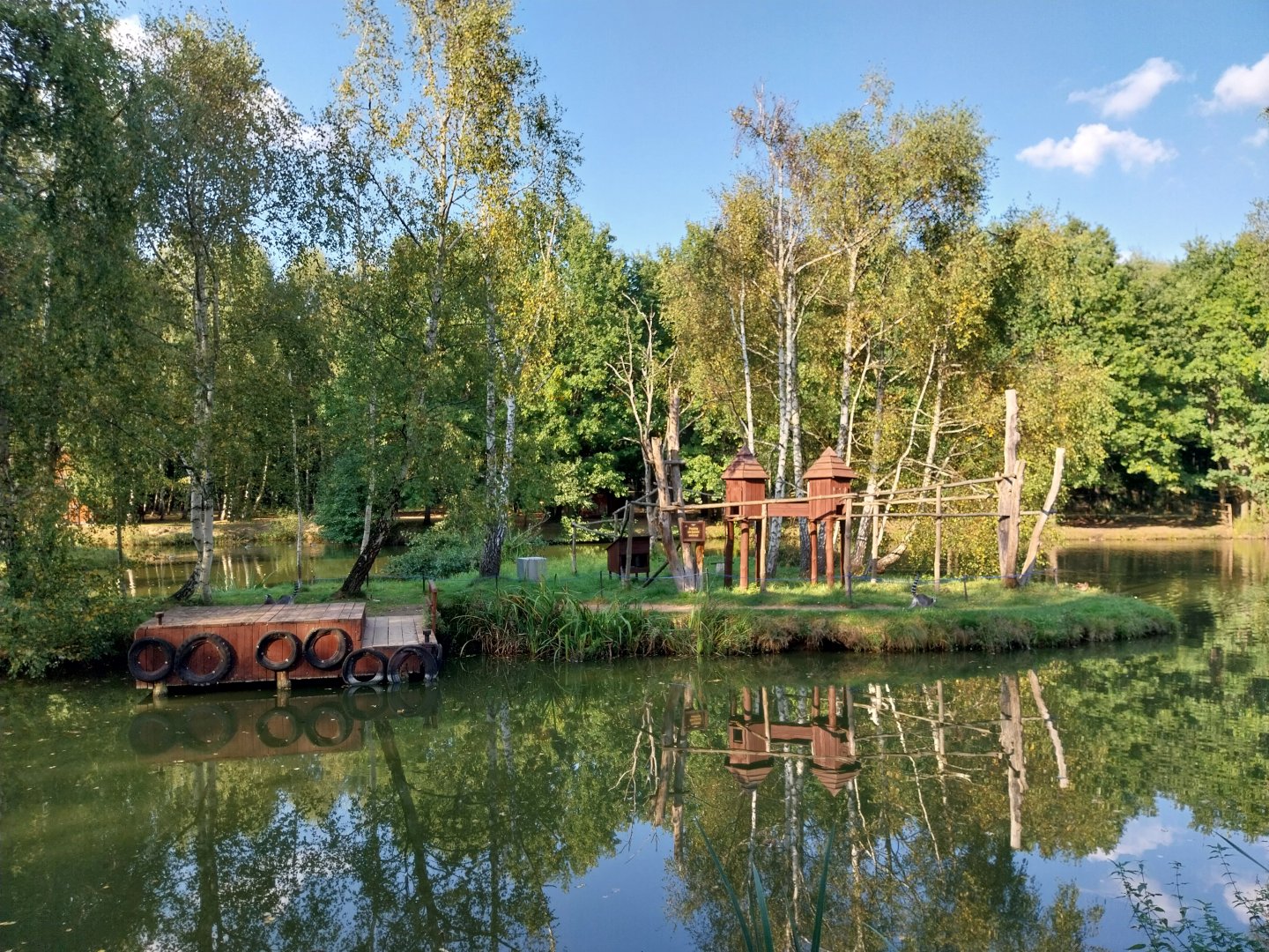 Charlotta Zoo - Ring-tailed Lemur (Lemur catta)