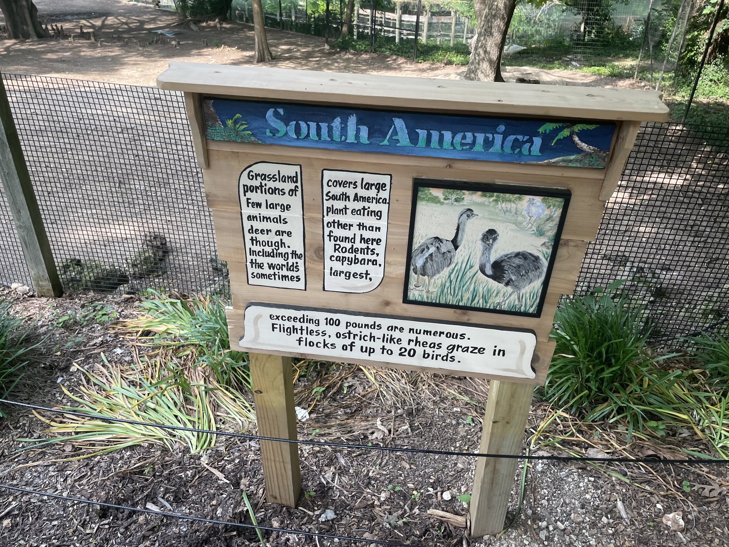 Charming Hand-Painted Signage- 2023