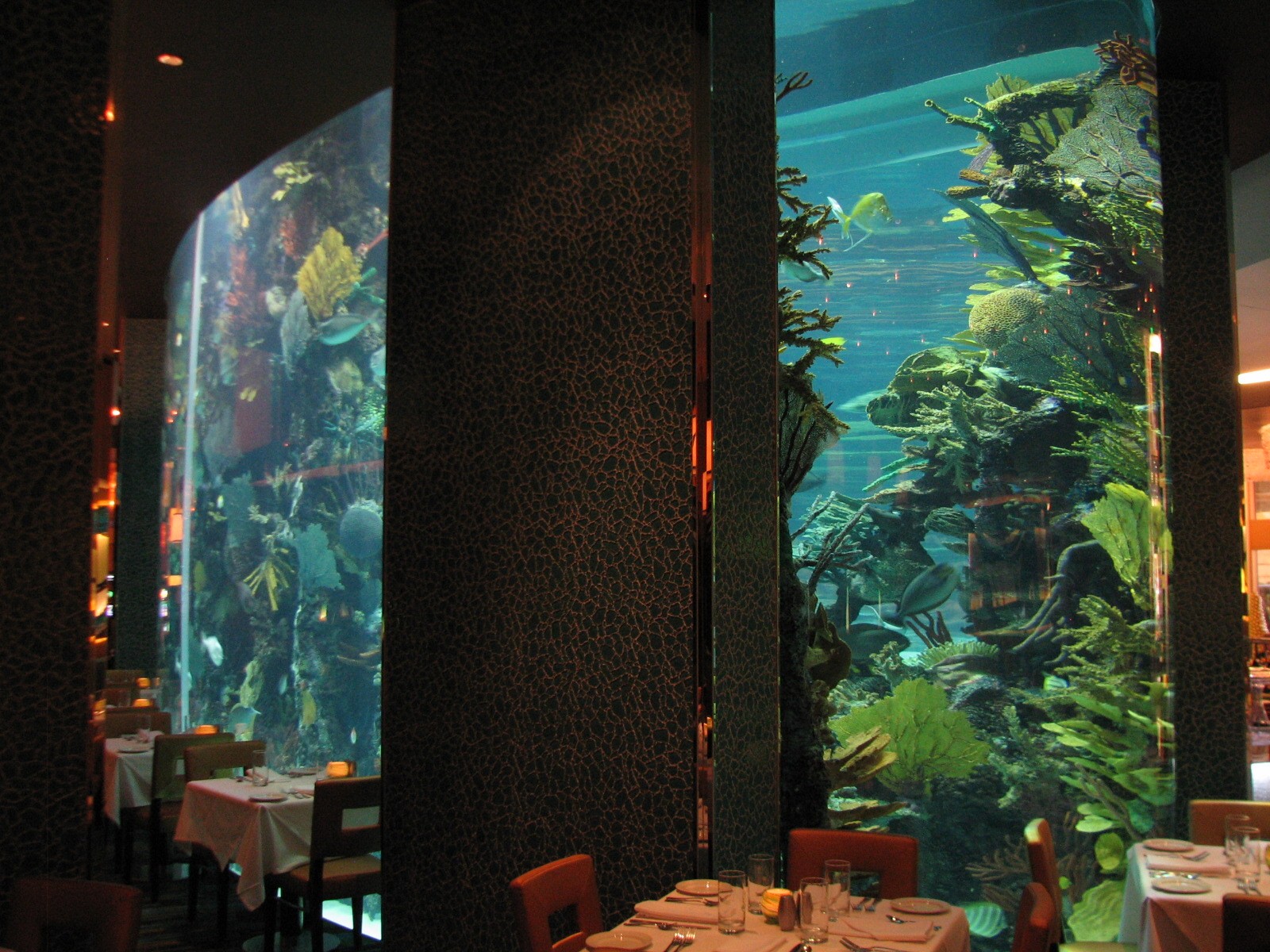 Chart House Aquarium at Golden Nugget Hotel Casino in Las Vegas - Dining ro