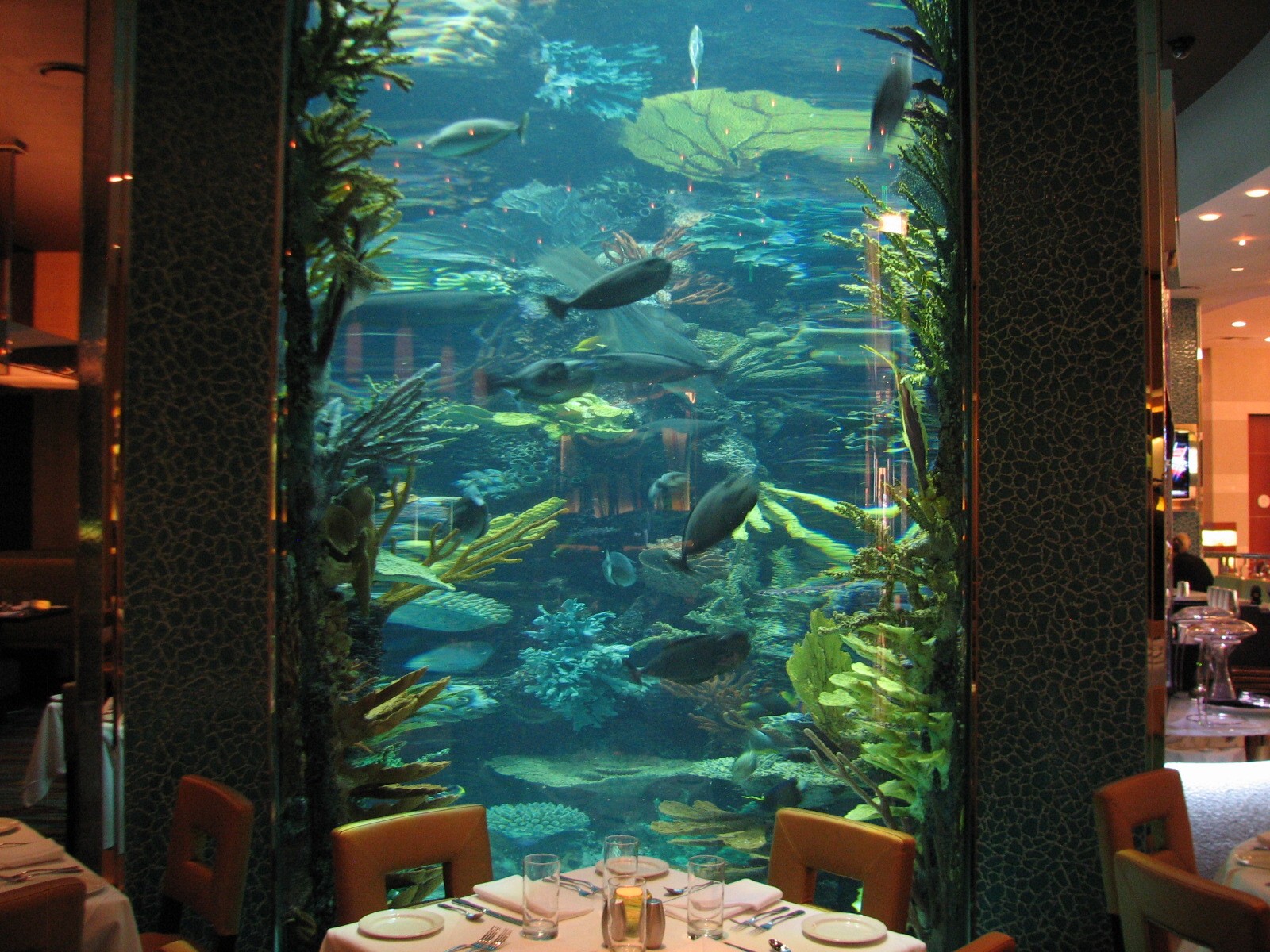 Chart House Aquarium at Golden Nugget Hotel Casino in Las Vegas - End of ta