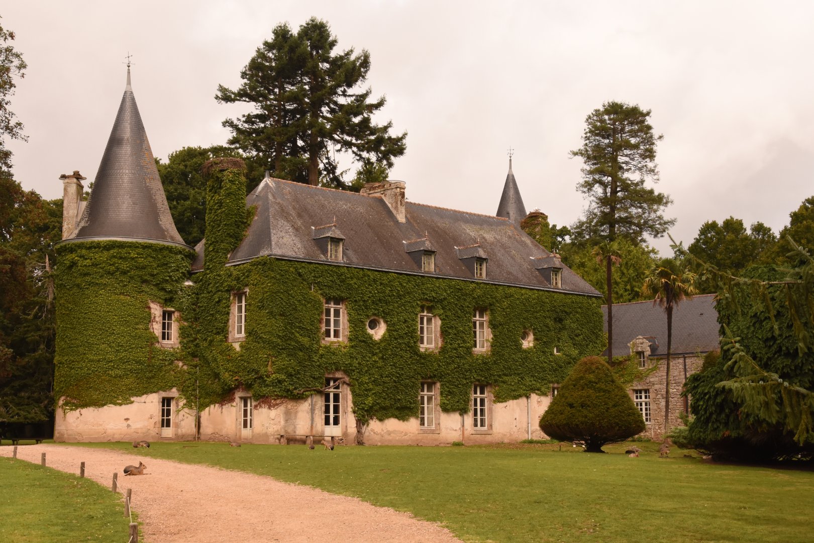 Chateau in the centre of the park