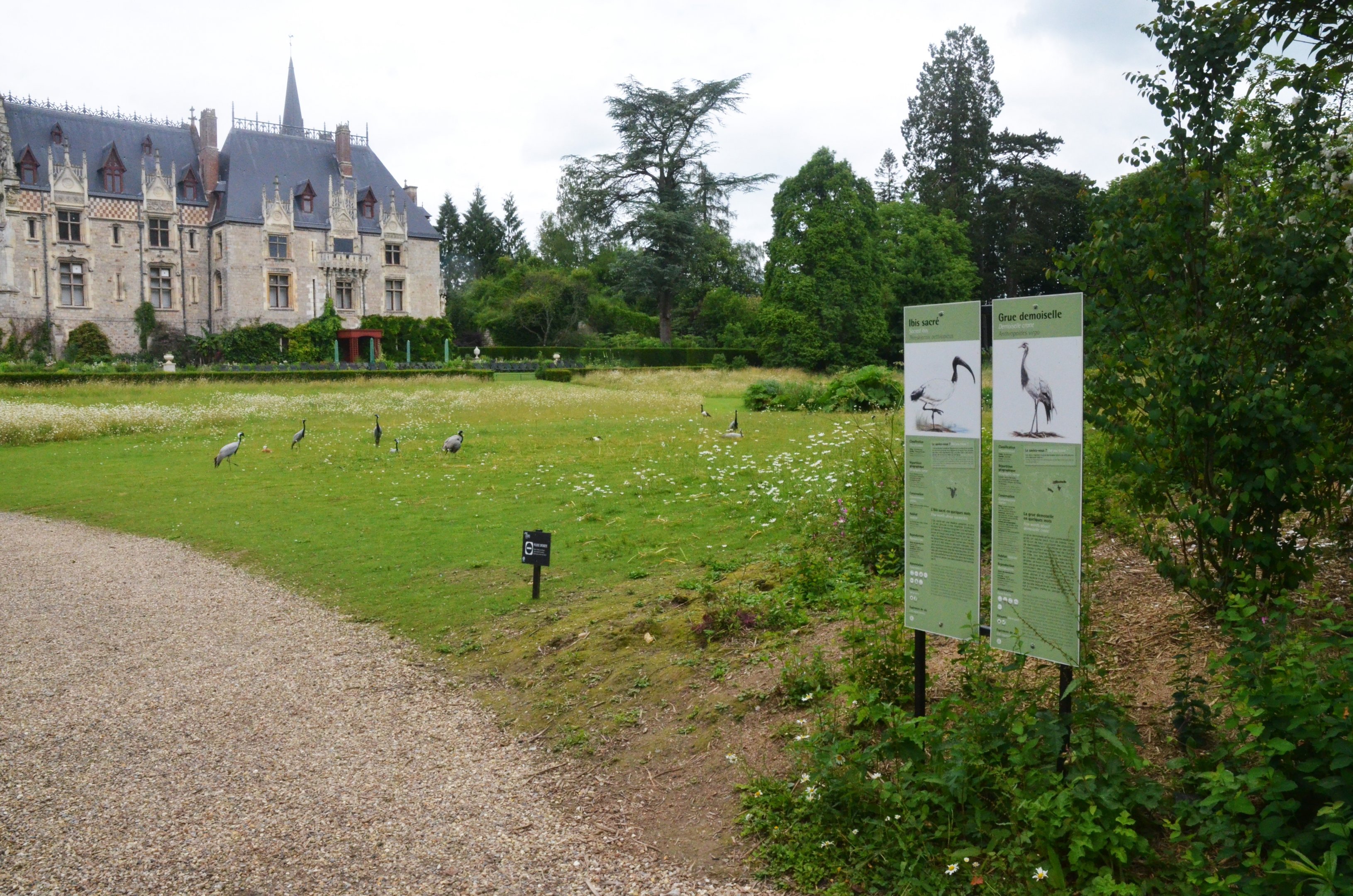 Chateau with Birds and Signageat Clères, 16/06/18