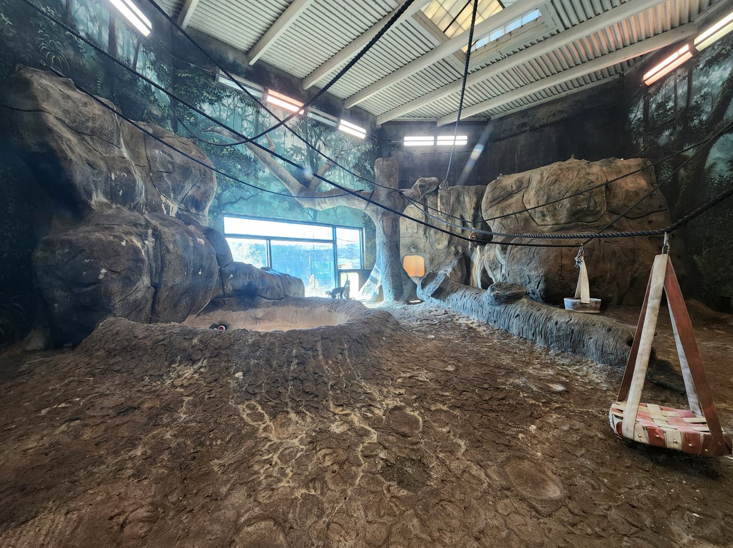 Chattanooga Zoo - Mangabey/Chimpanzee indoor exhibit