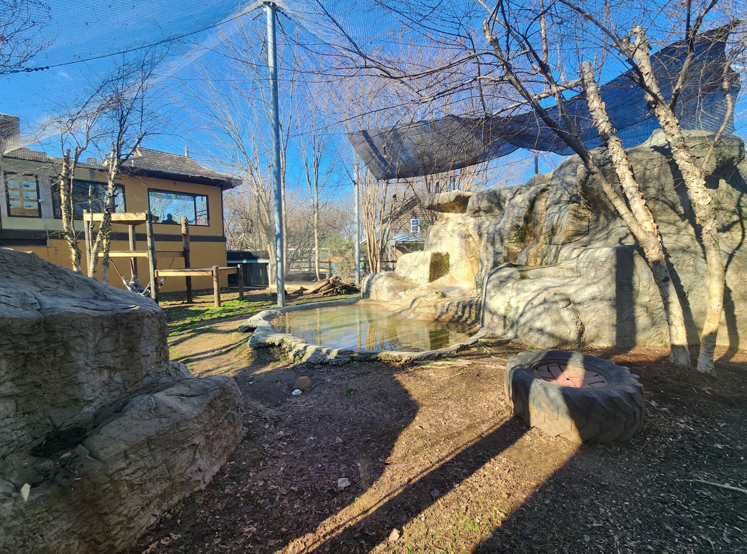 Chattanooga Zoo - Snow Leopard enclosure